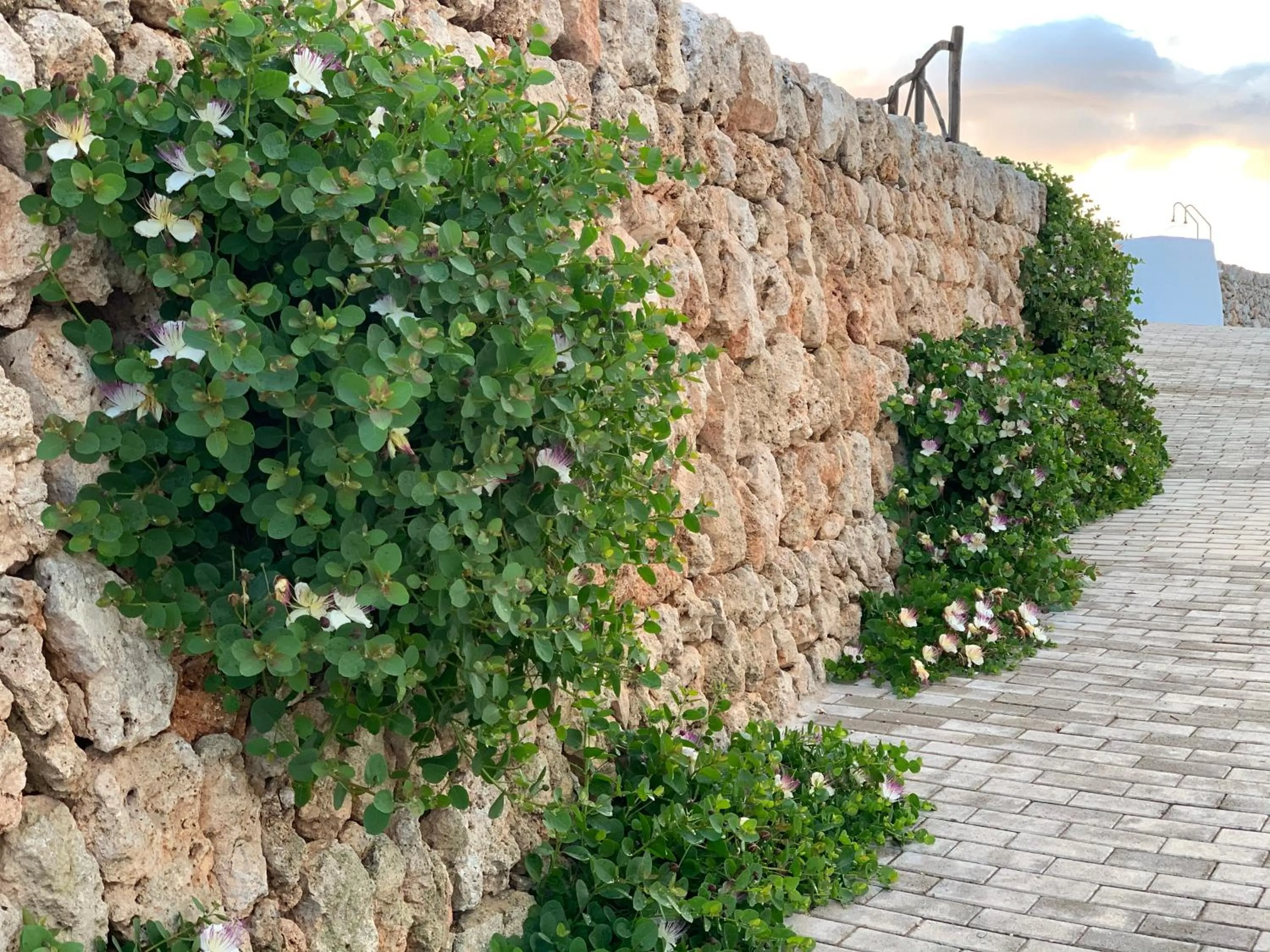 Other in Agroturismo Llucasaldent Gran Menorca - Adults Only