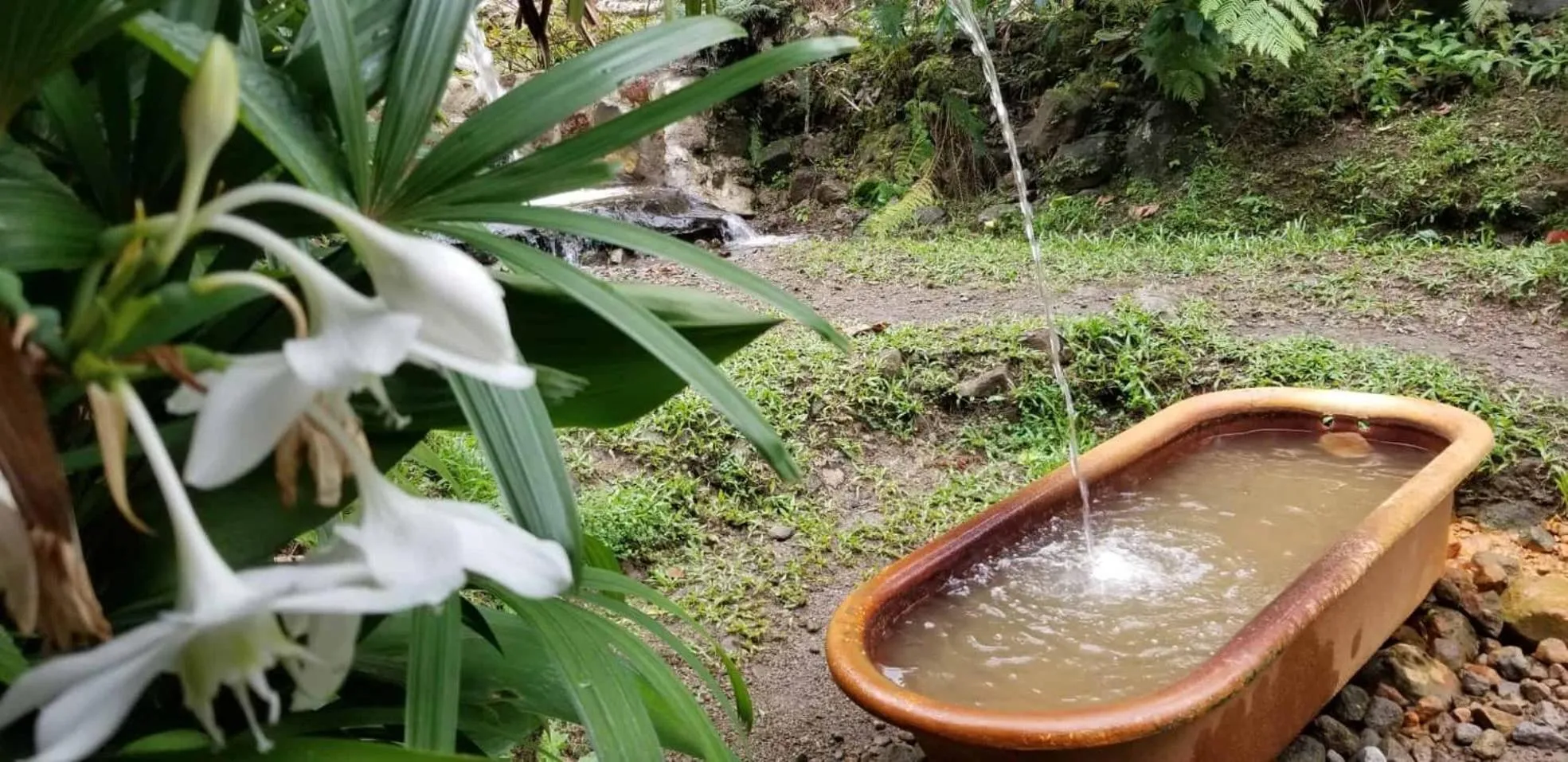 Spring in Rejens Hotel