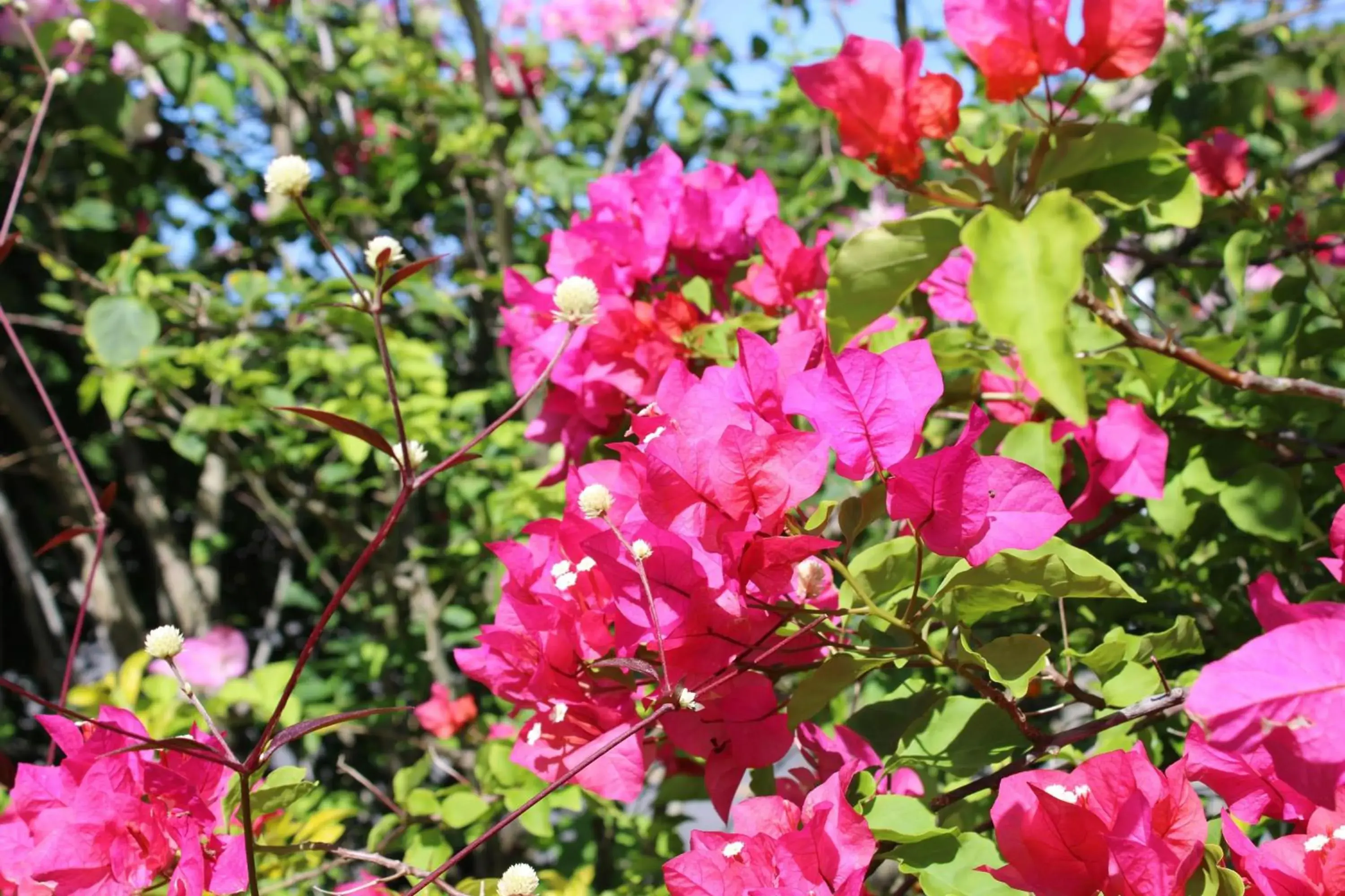 Day in Rejens Hotel Day in Rejens Hotel