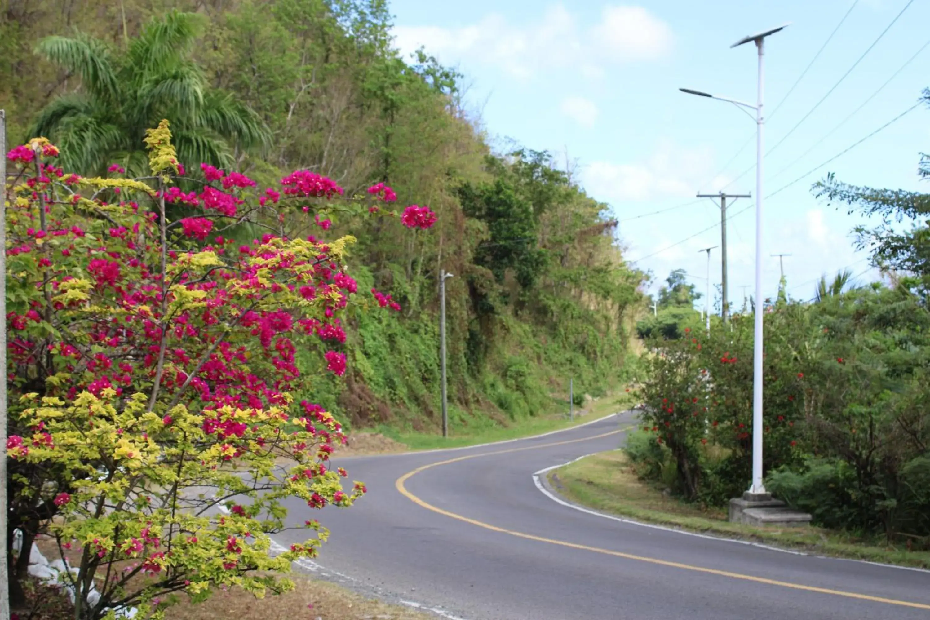 Street view in Rejens Hotel Street view in Rejens Hotel