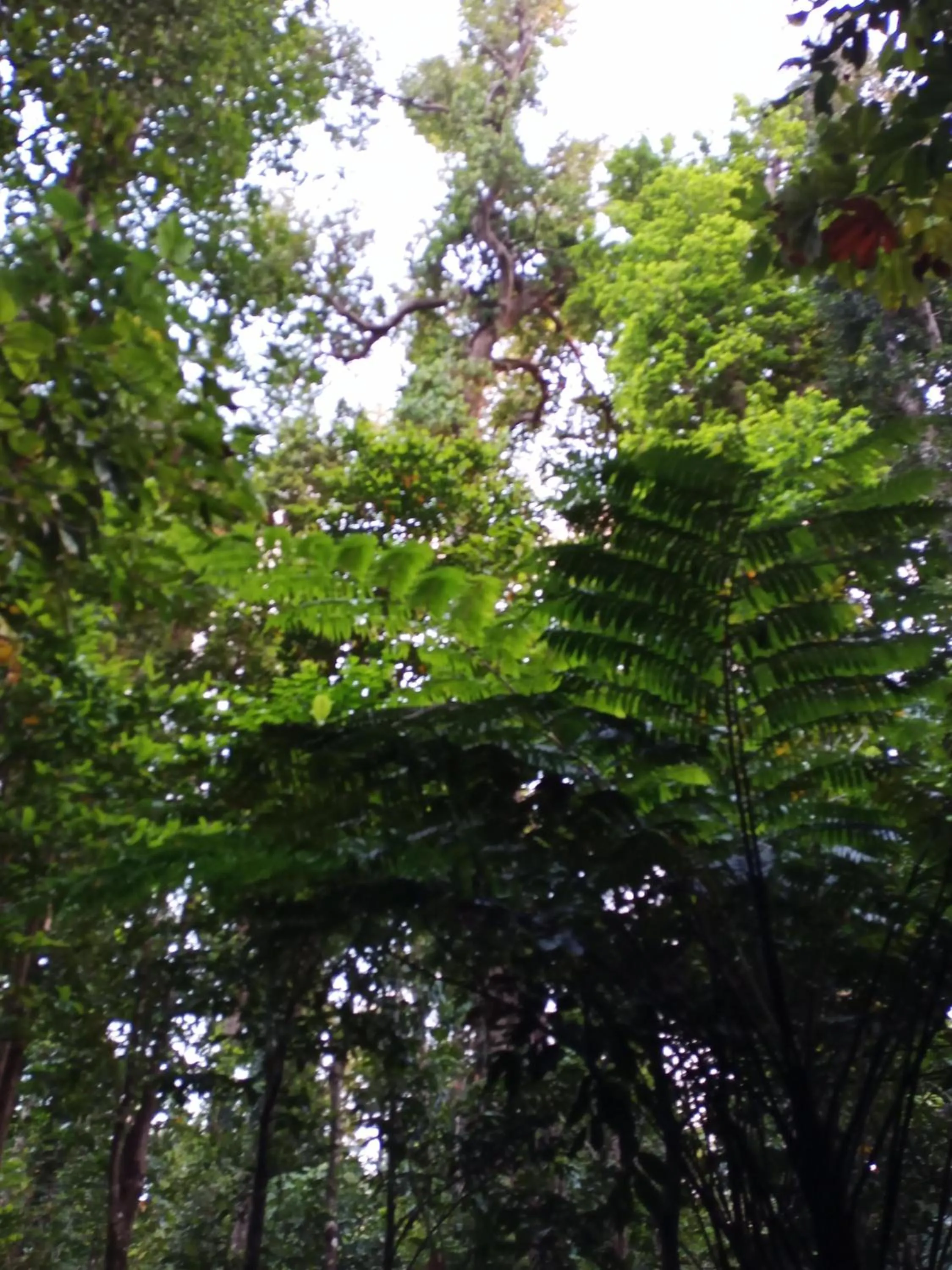 Natural landscape in Rejens Hotel