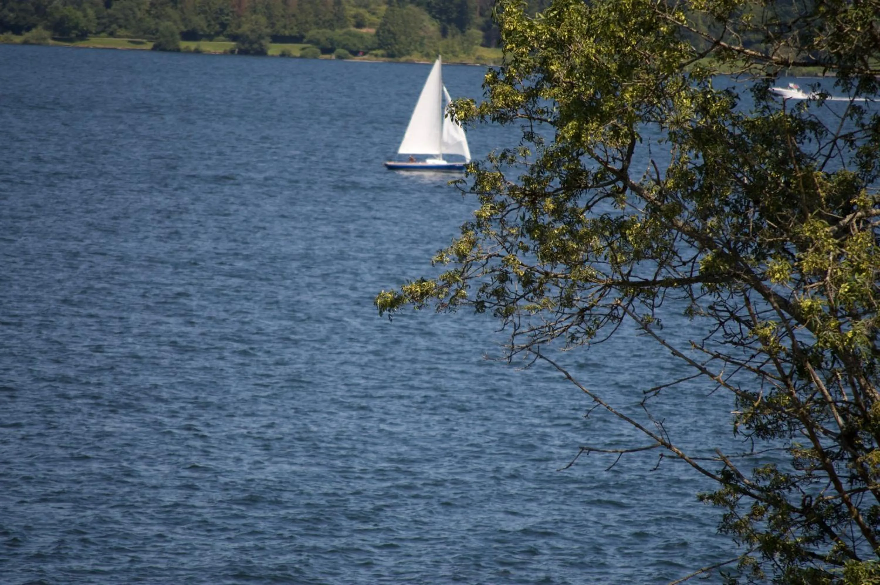Lake view in Water View Home