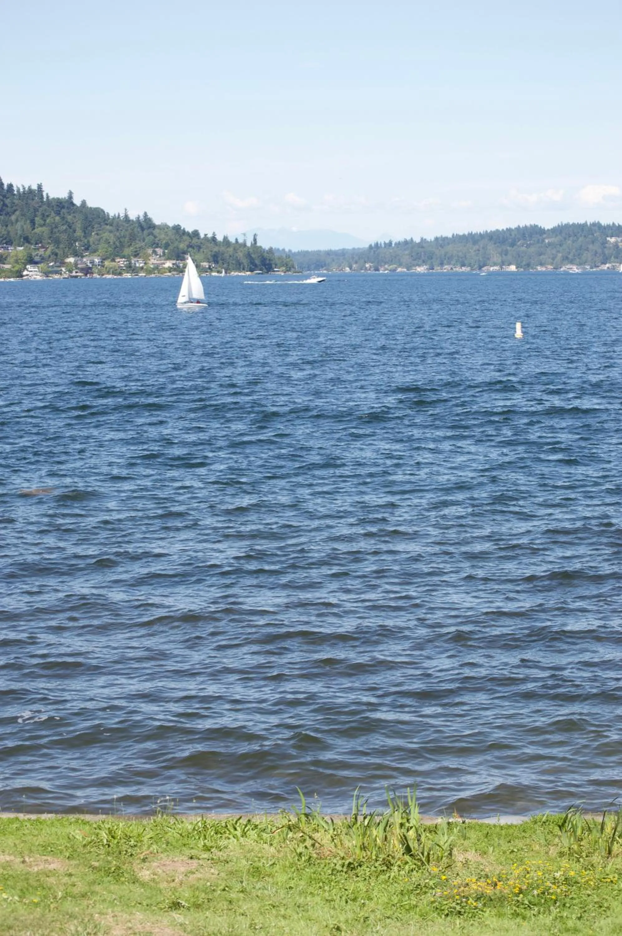 Natural landscape in Water View Home