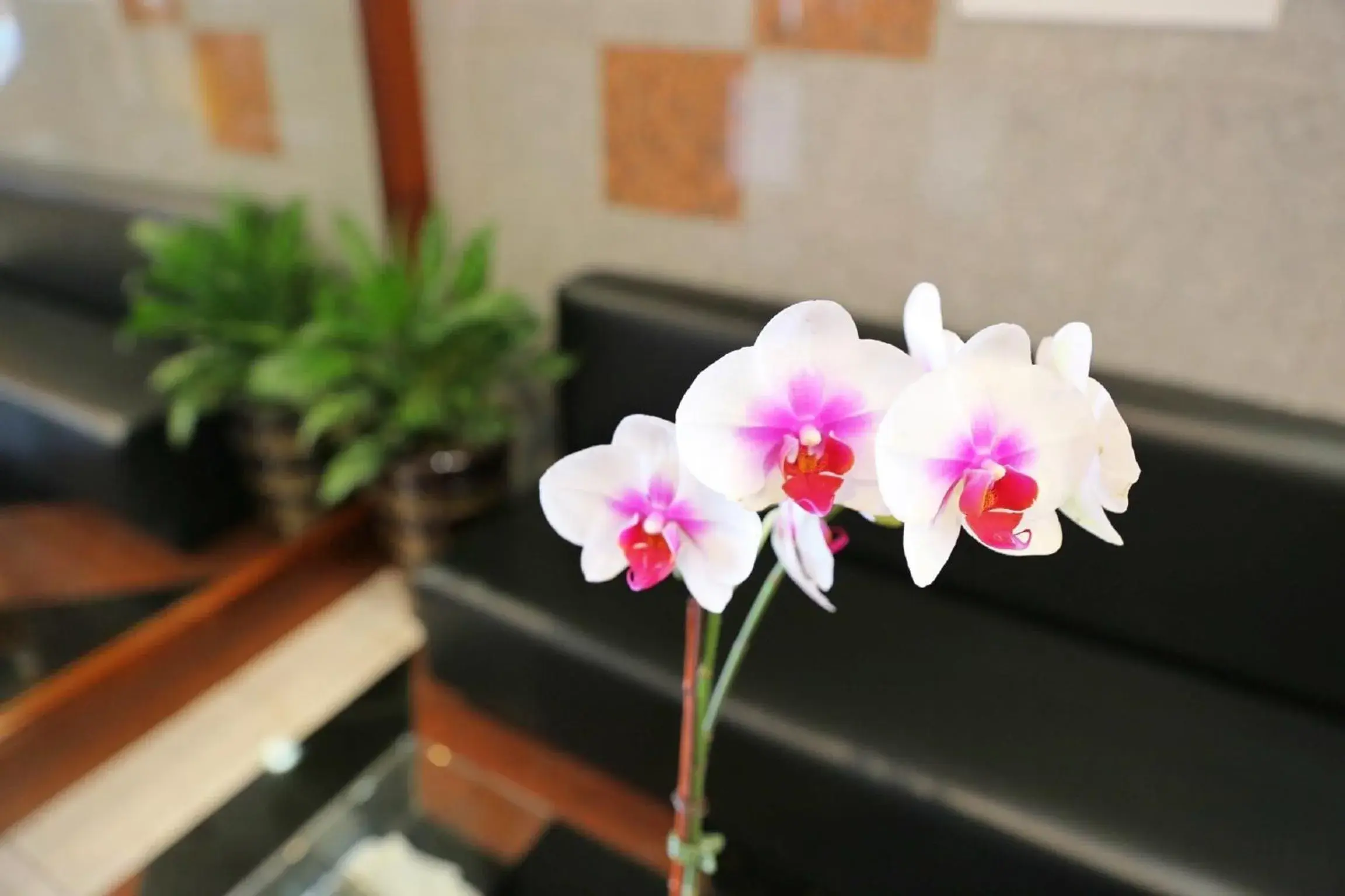 Lobby or reception in Phoenix Hotel Brooklyn Sunset Park Lobby or reception in Phoenix Hotel Brooklyn Sunset Park