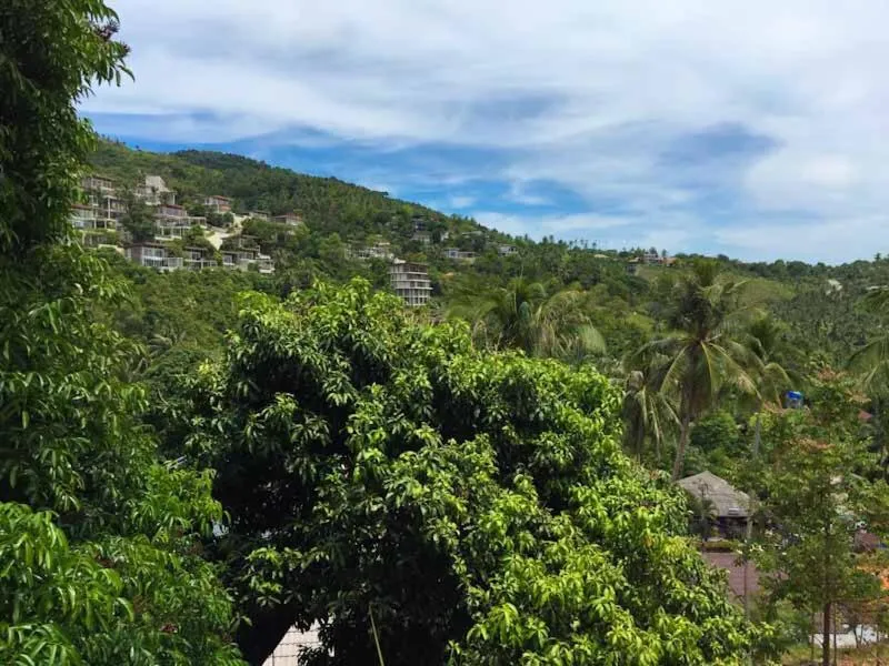 Natural landscape in Reggae Village Haad Salad