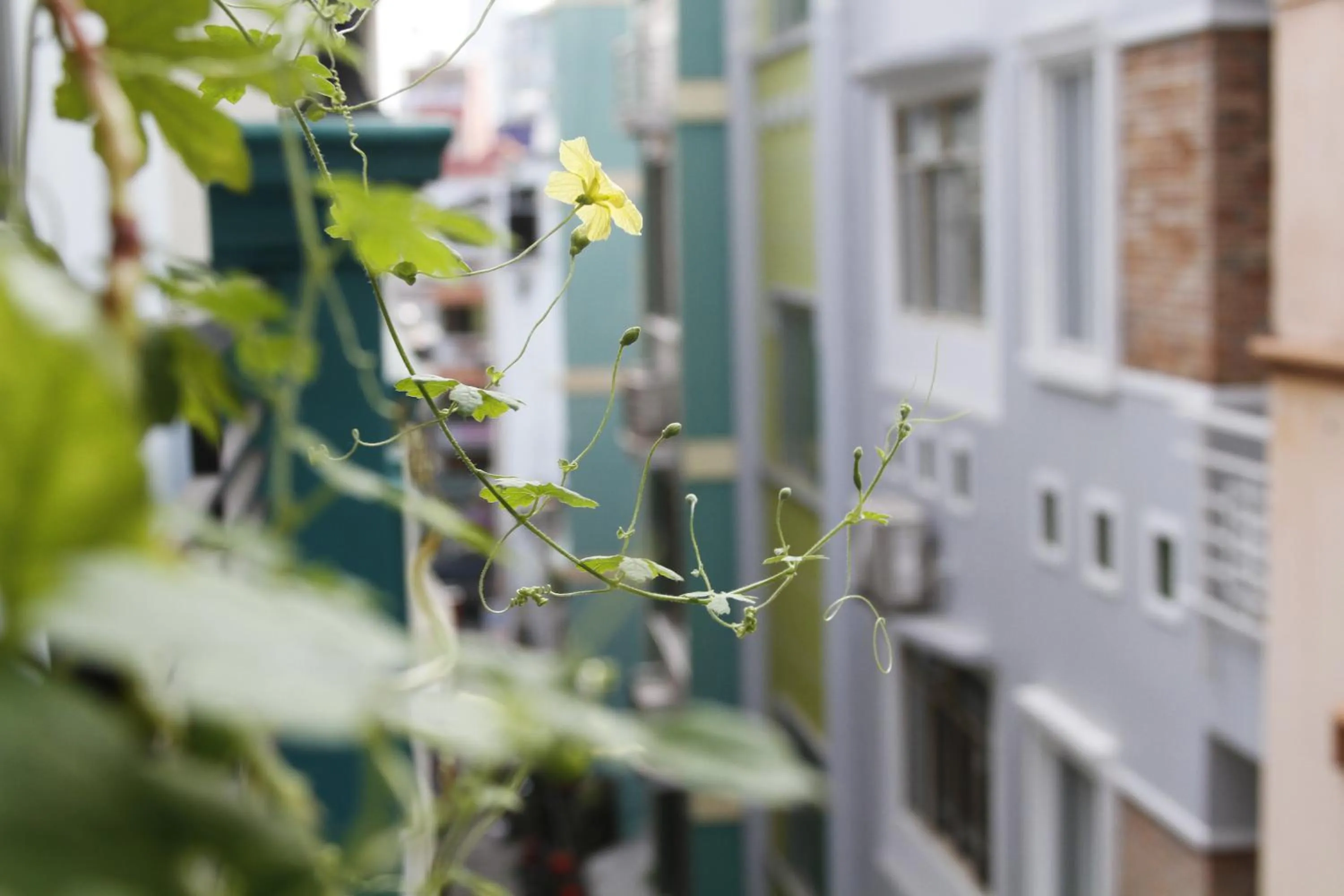 Property building in Ngoc Minh Hotel