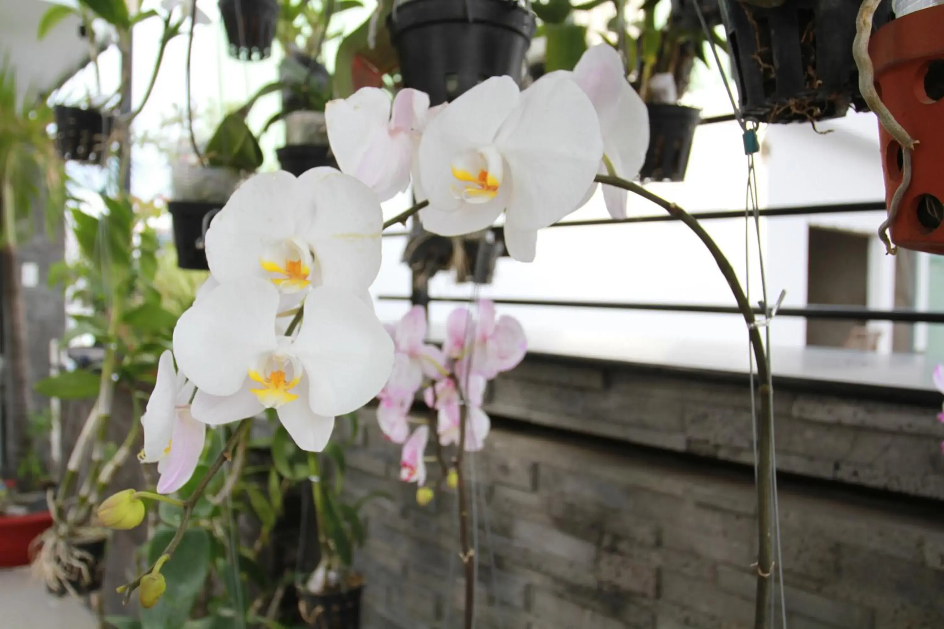 Property building in Ngoc Minh Hotel Property building in Ngoc Minh Hotel