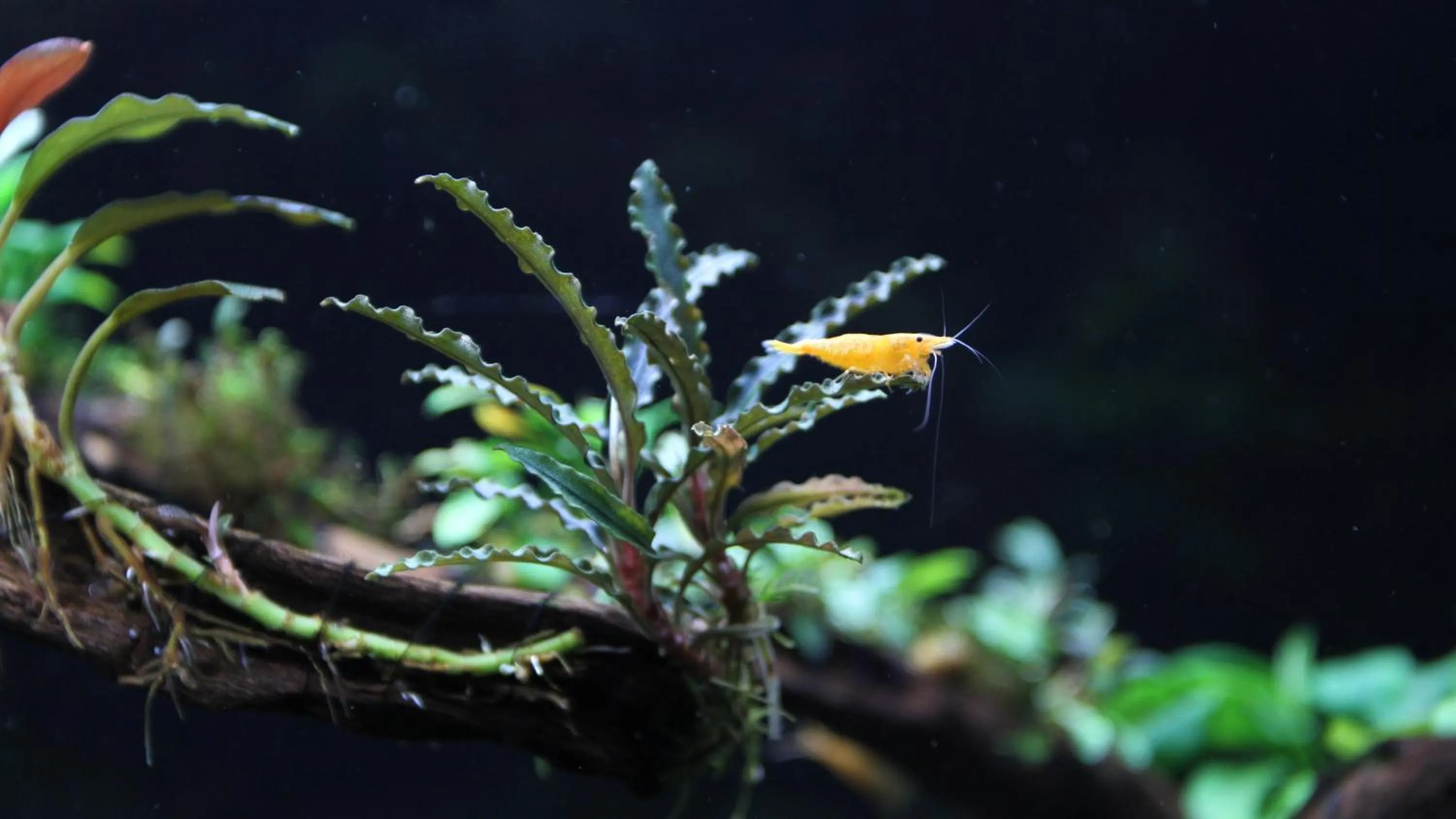 Property building in Ngoc Minh Hotel