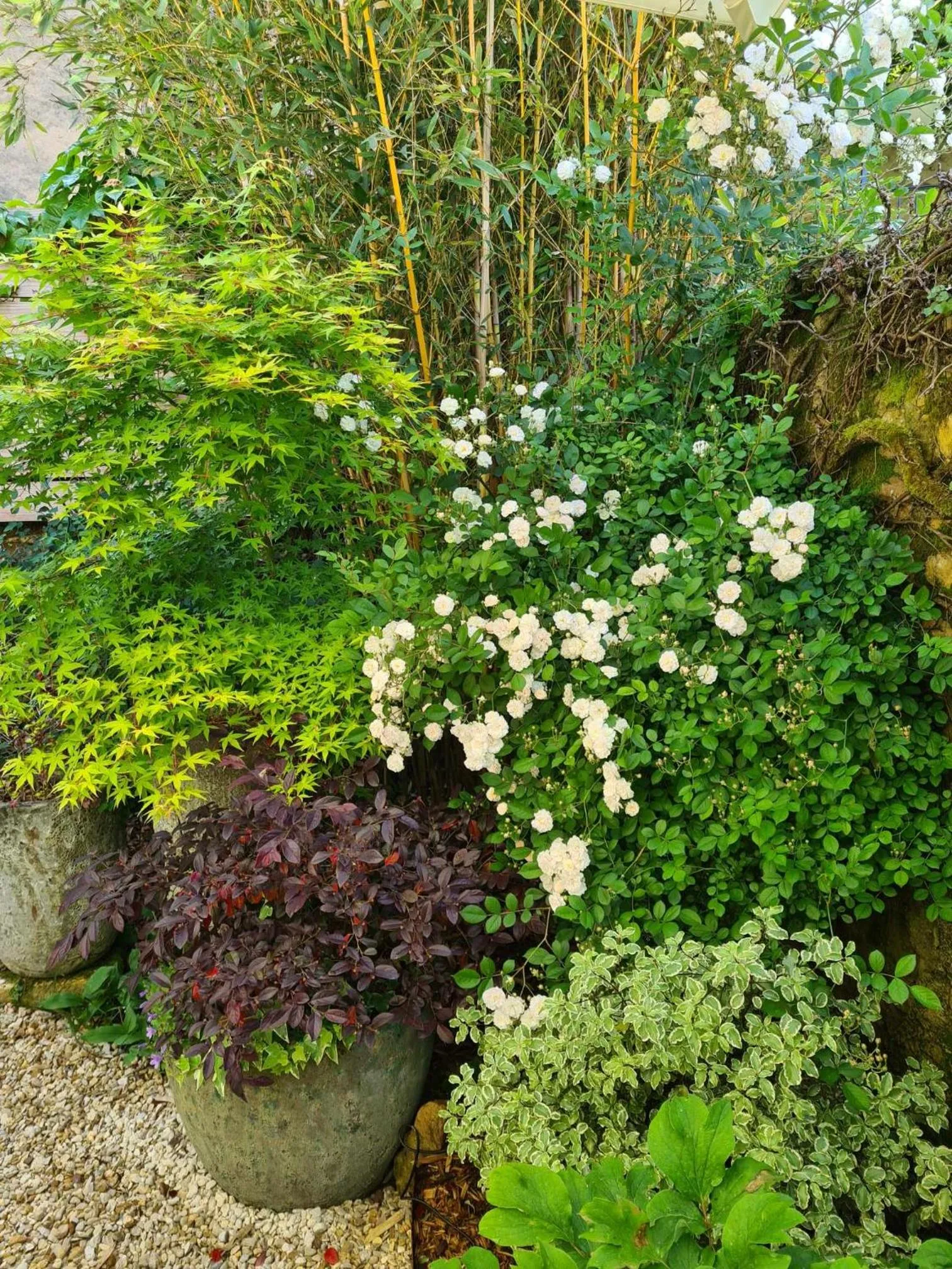Garden in Logis Hôtel Le Boudoir