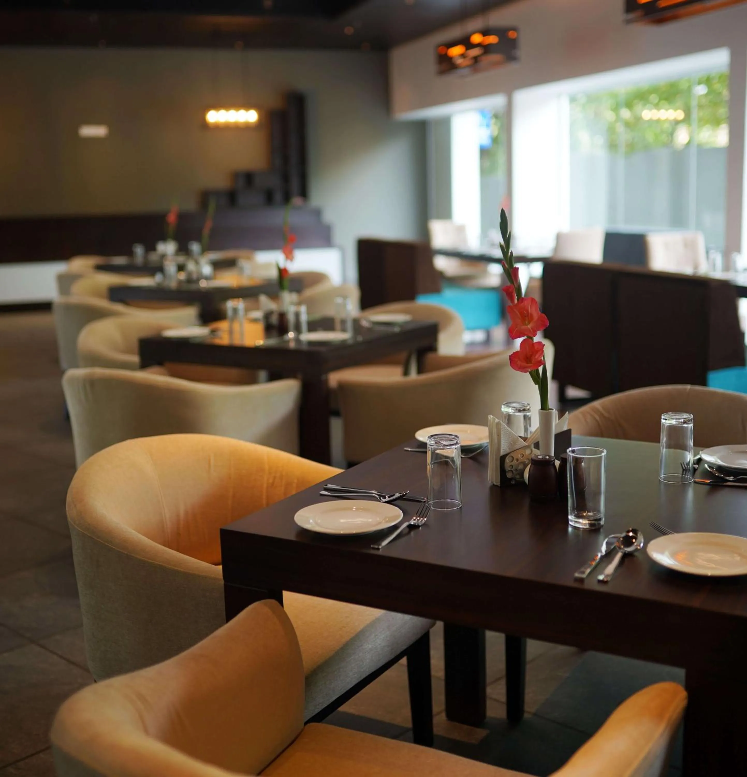 Restaurant/places to eat in The Terrace by Ladder Mgd by Citrine