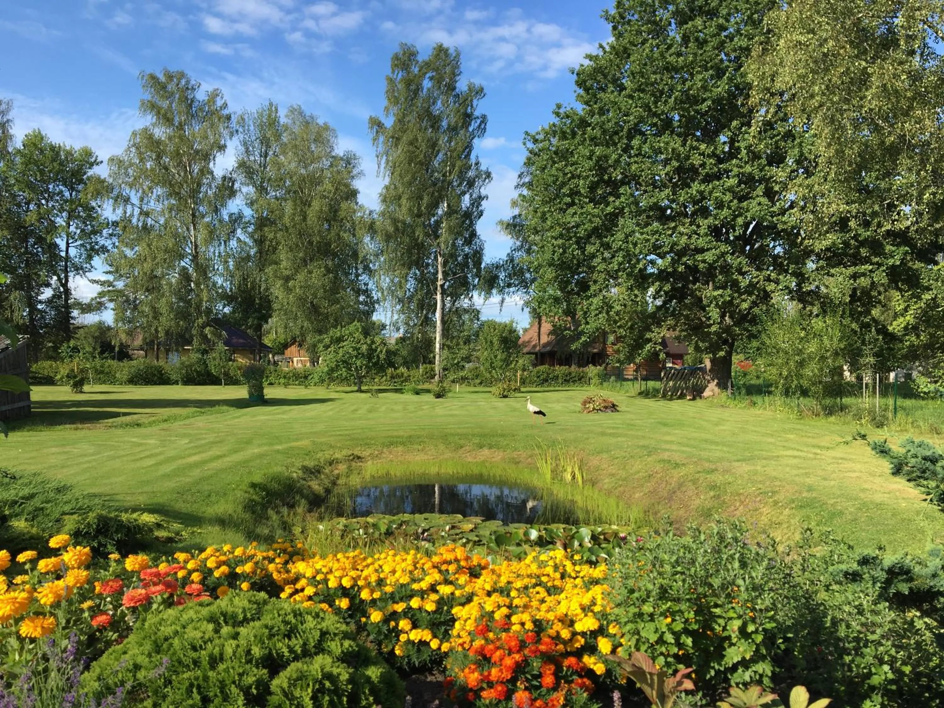 Garden in Krūmiņmāja
