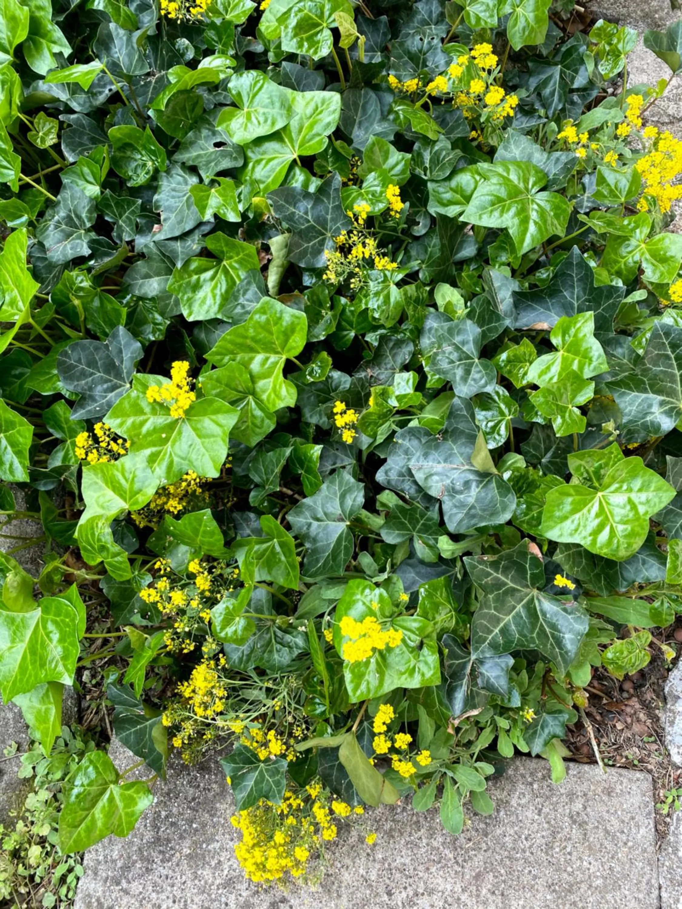 Property building in B&B tannen124