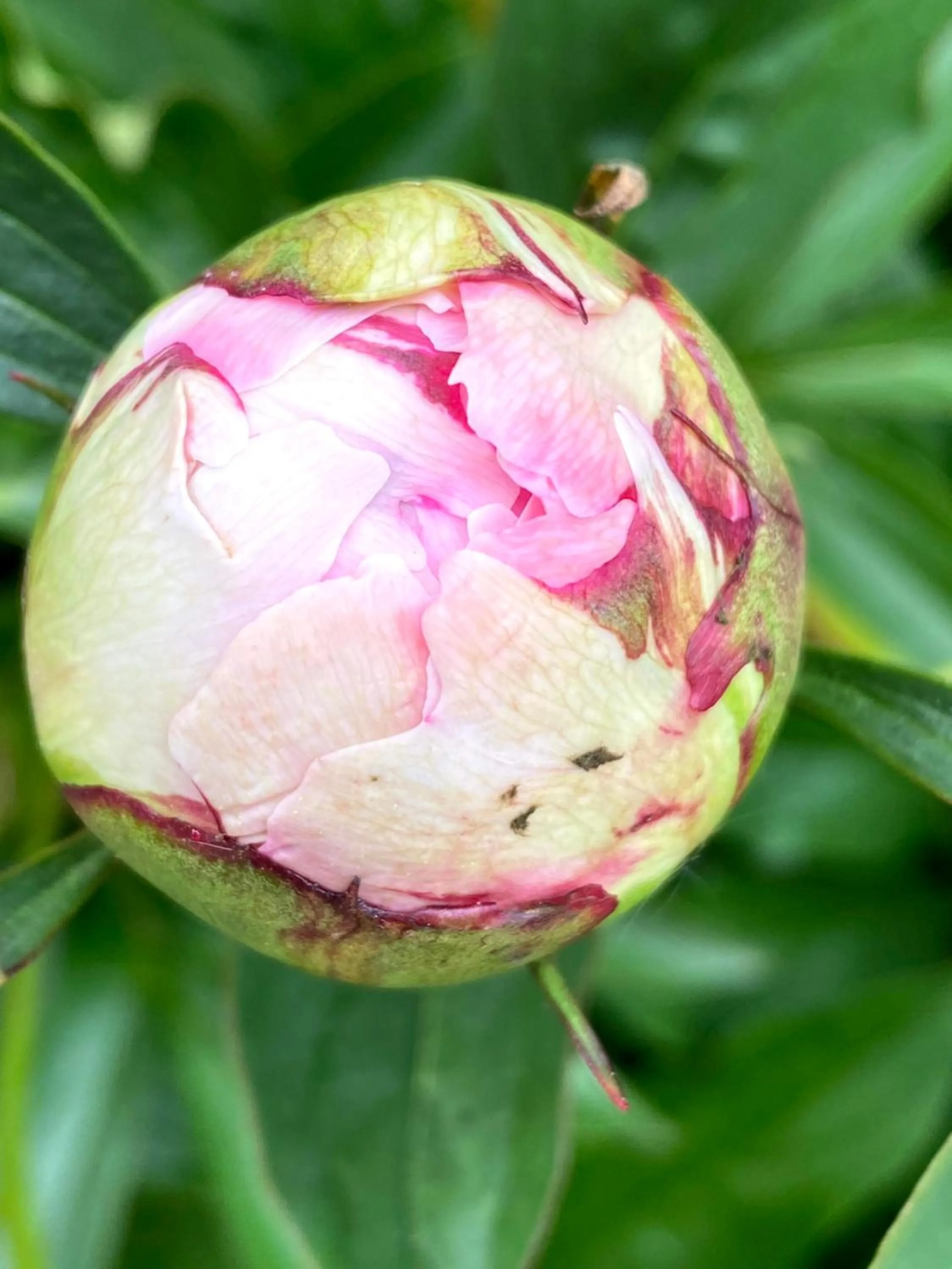 Property building in B&B tannen124