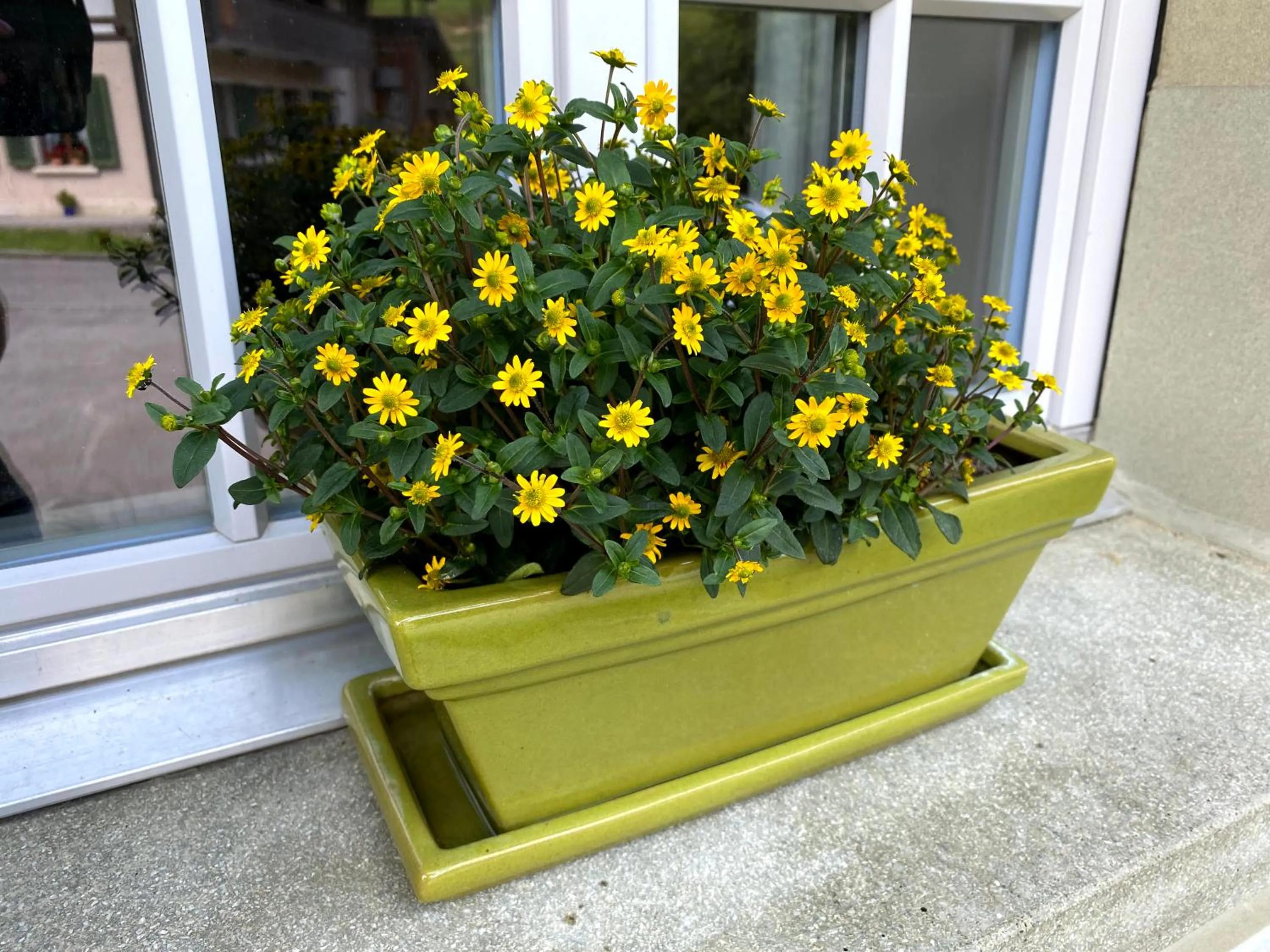 Property building in B&B tannen124