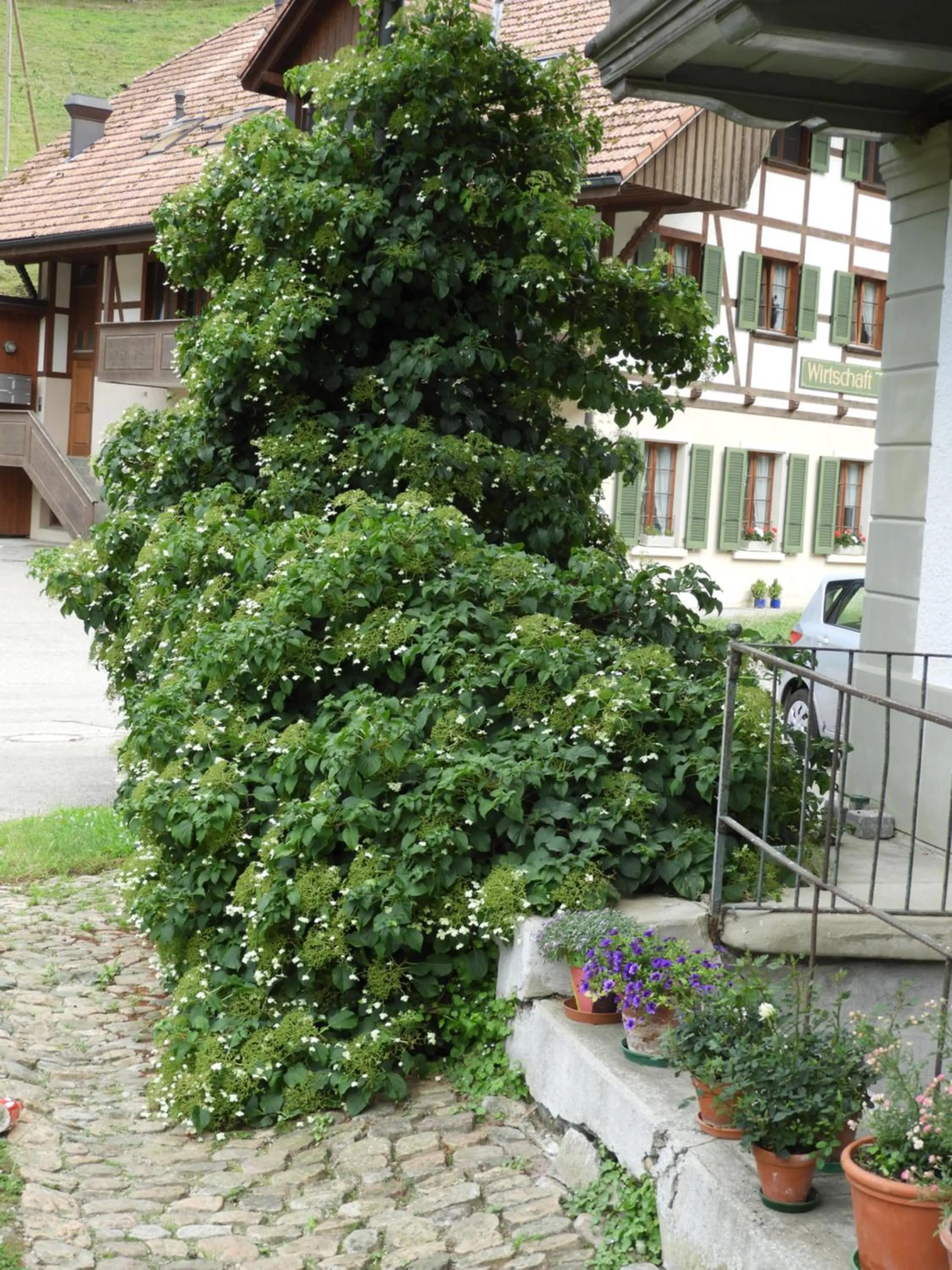 Area and facilities in B&B tannen124