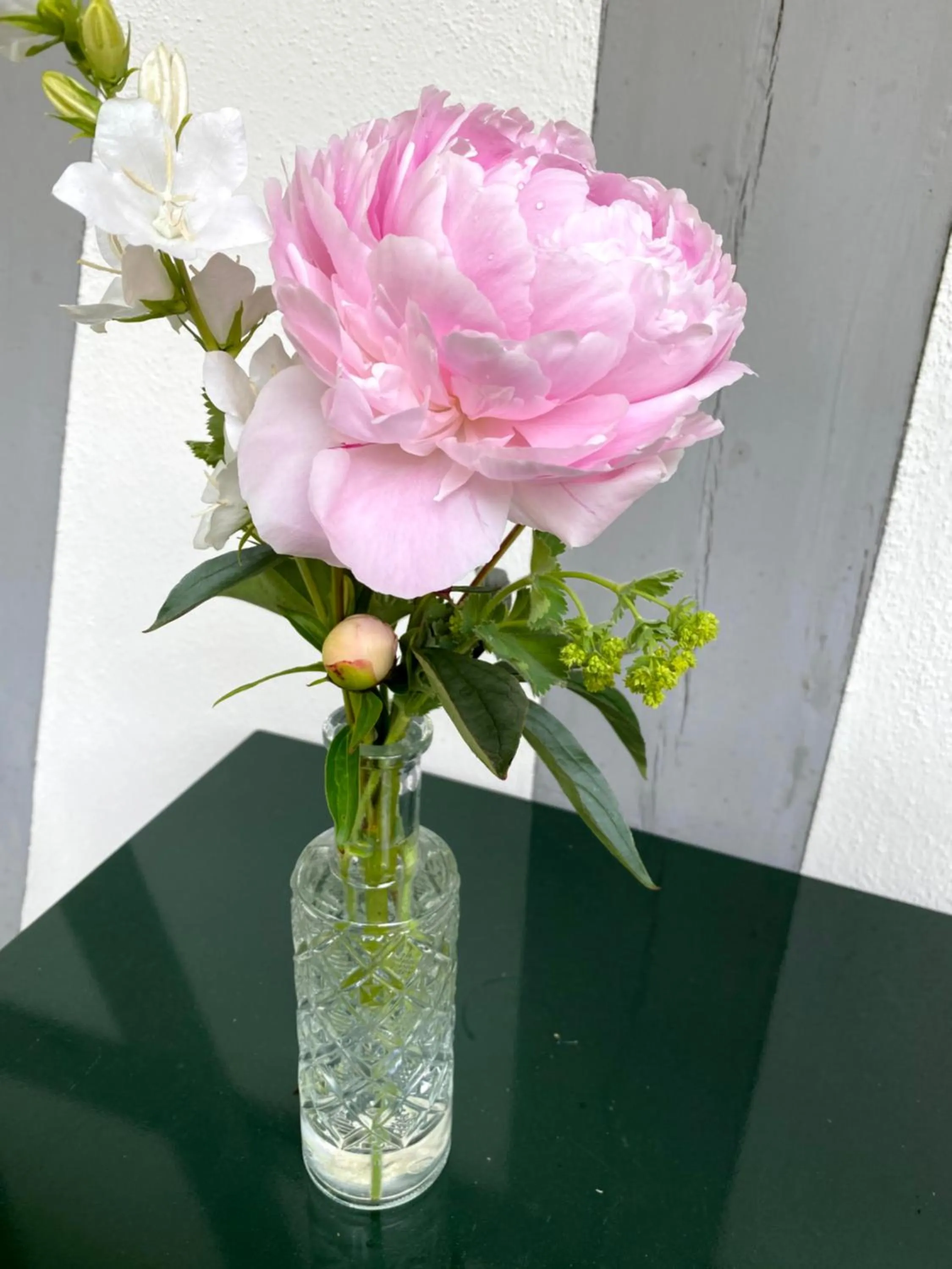 Property building in B&B tannen124