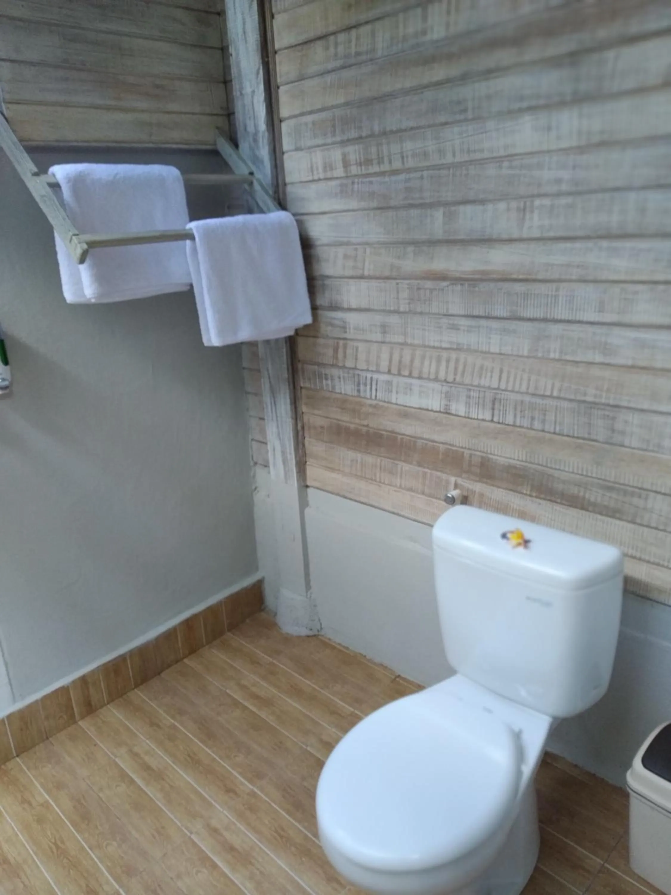 Toilet in HoneyBee Huts