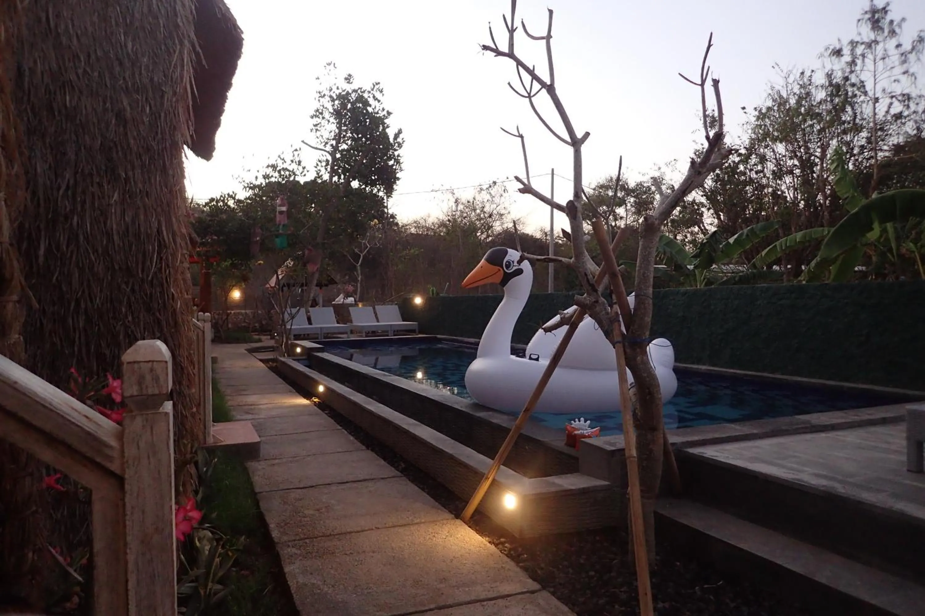 Swimming pool in HoneyBee Huts