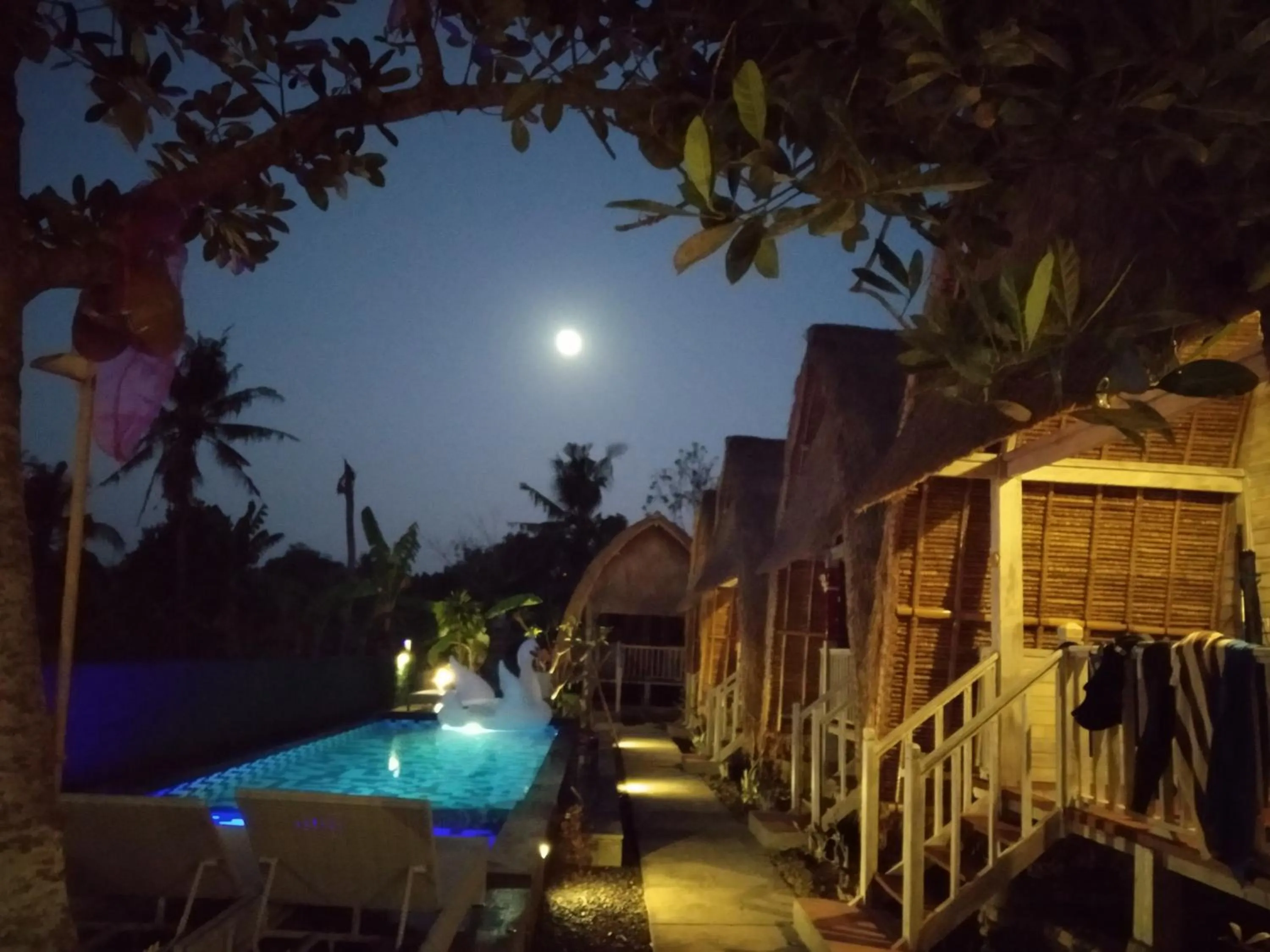 Pool view in HoneyBee Huts