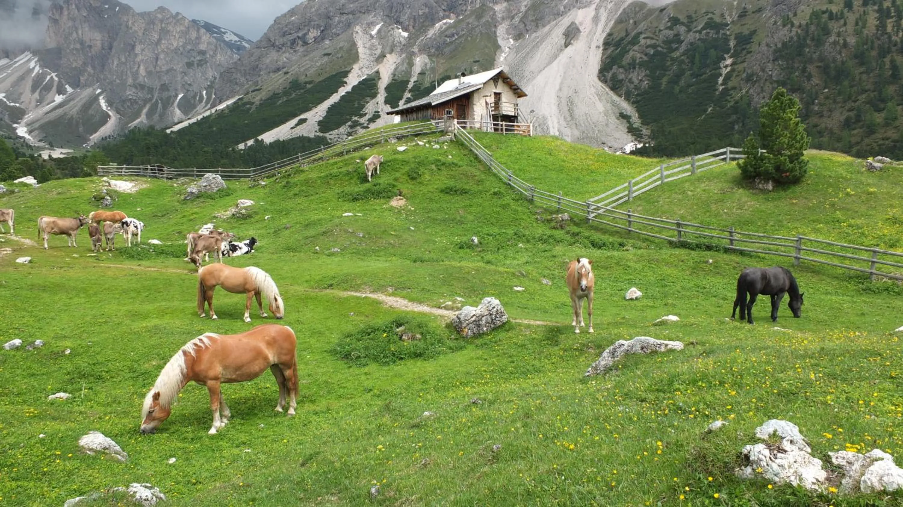 Natural landscape in Garni Le Chalet