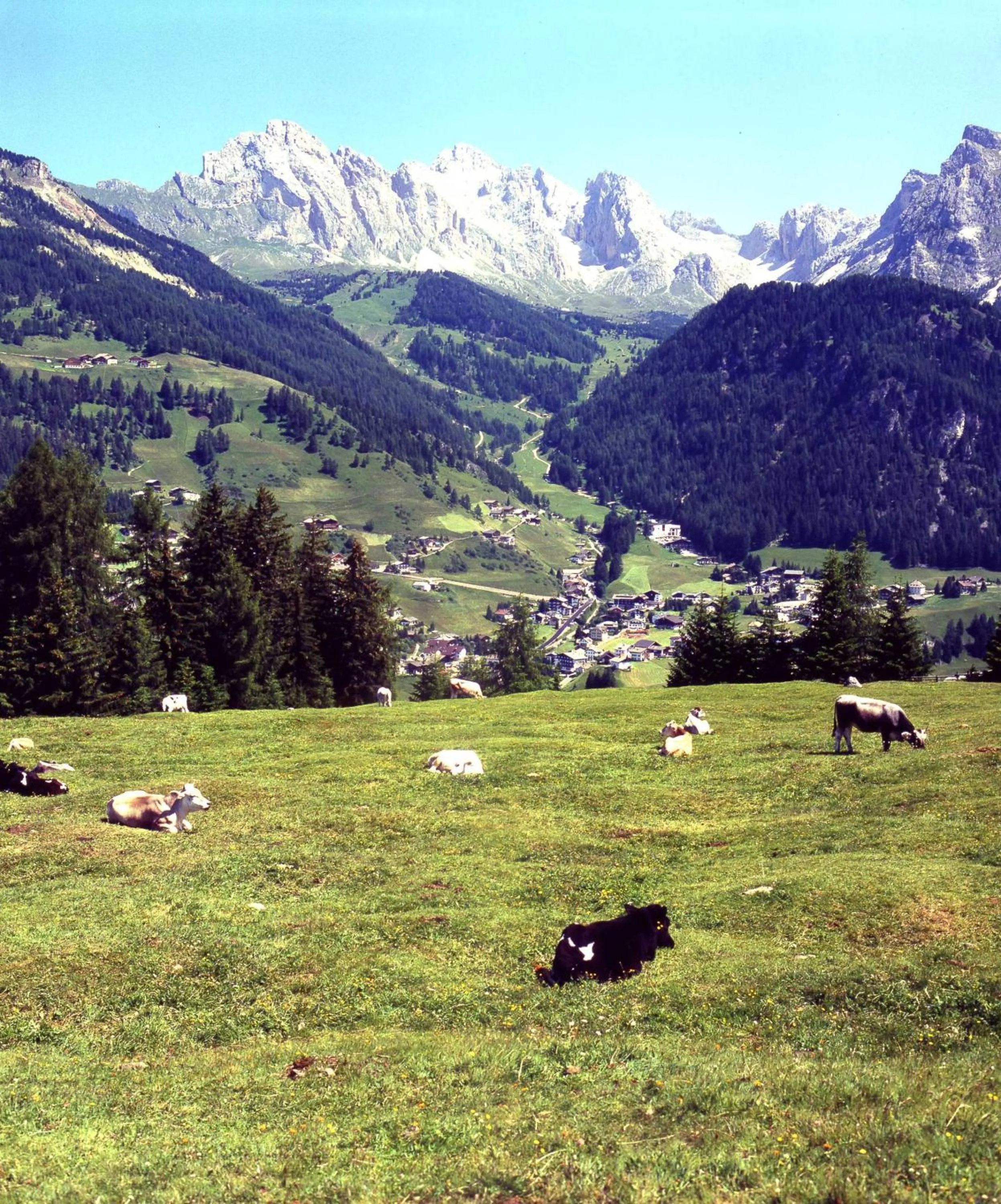 Natural landscape in Garni Le Chalet