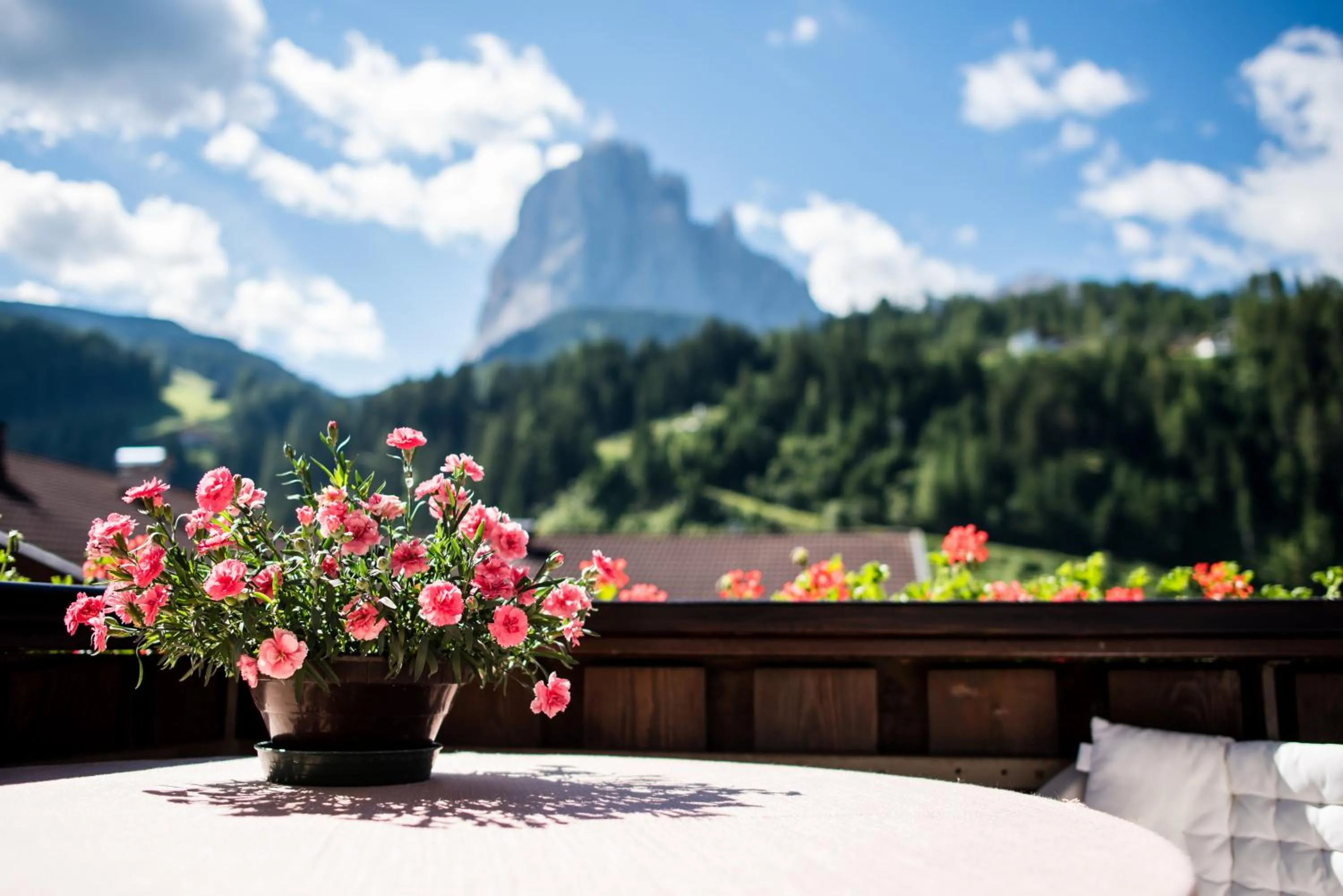 Mountain view in Garni Le Chalet