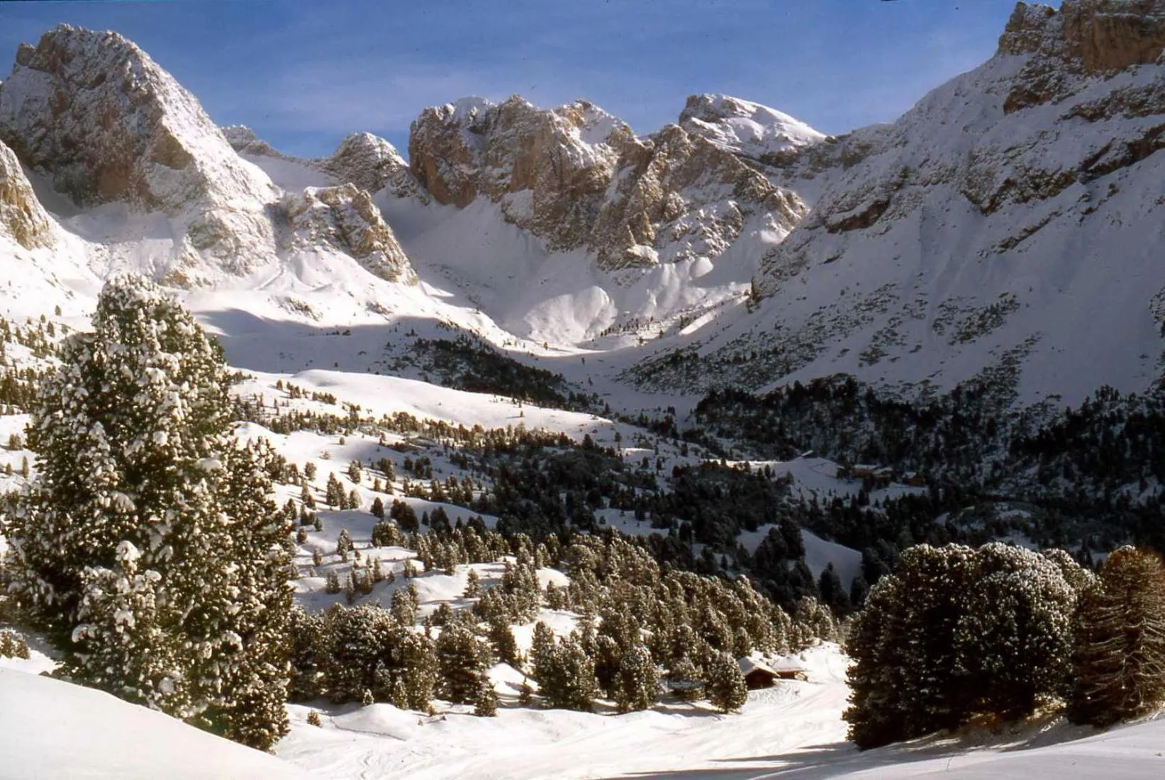 Natural landscape in Garni Le Chalet