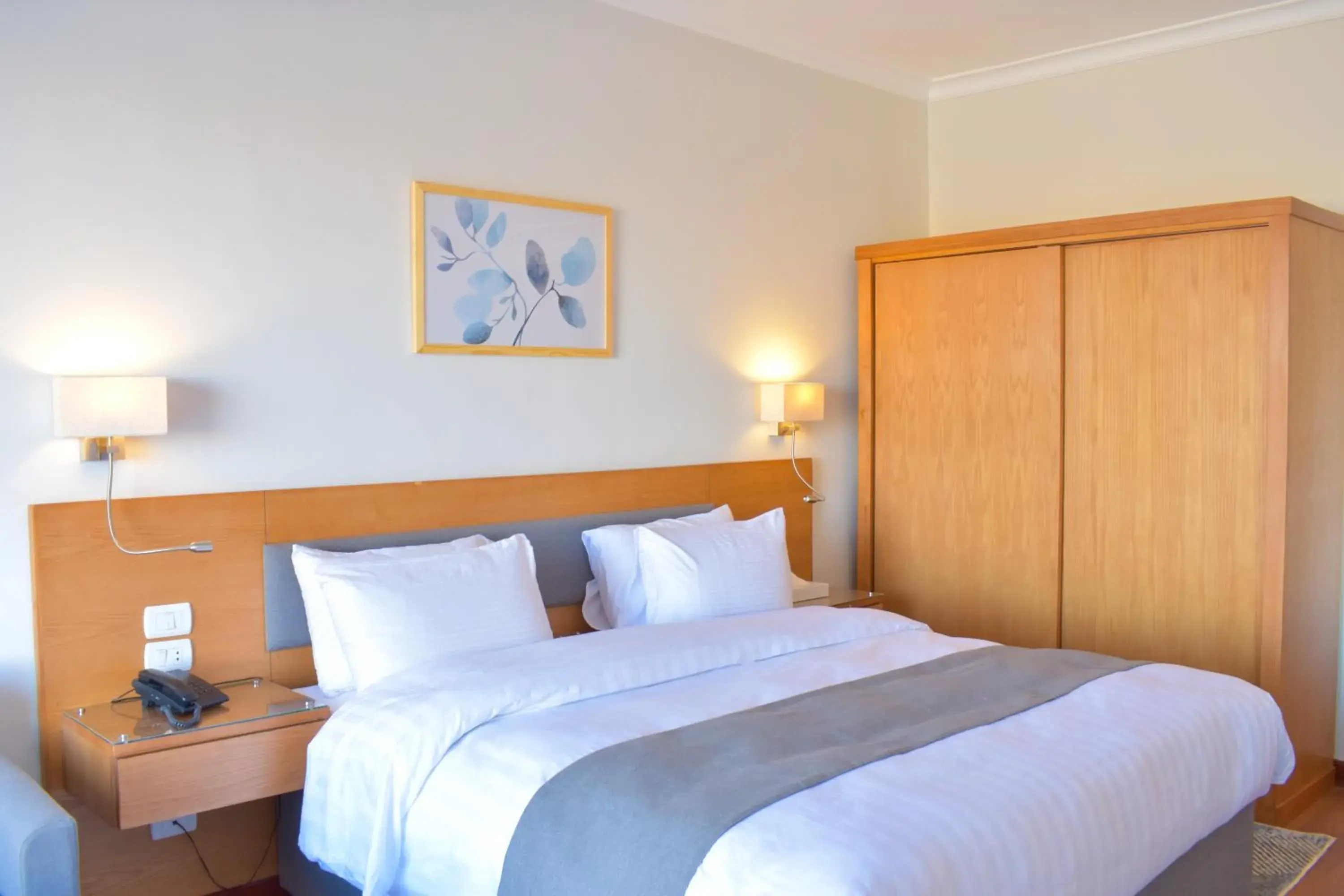 Deluxe Double Room - single occupancy in Basma Executive Club Deluxe Double Room - single occupancy in Basma Executive Club
