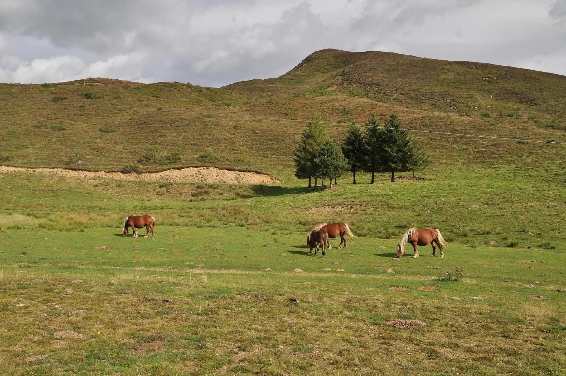 Natural landscape in Au Primerose Hôtel