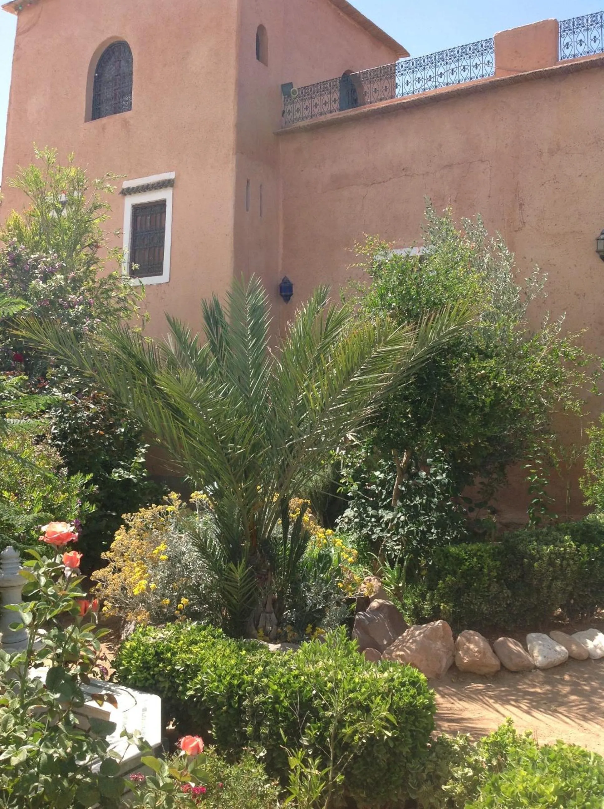 Garden in Riad Timadrouine