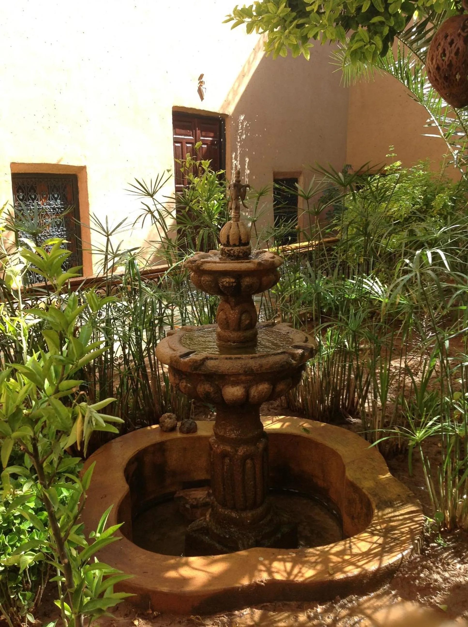 Garden in Riad Timadrouine
