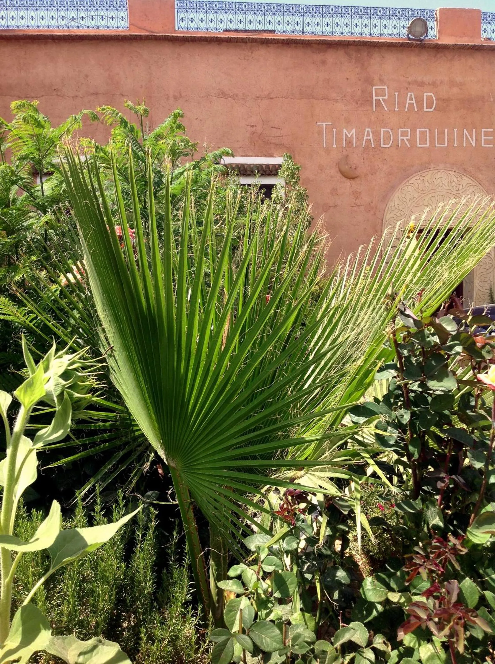 Facade/entrance in Riad Timadrouine