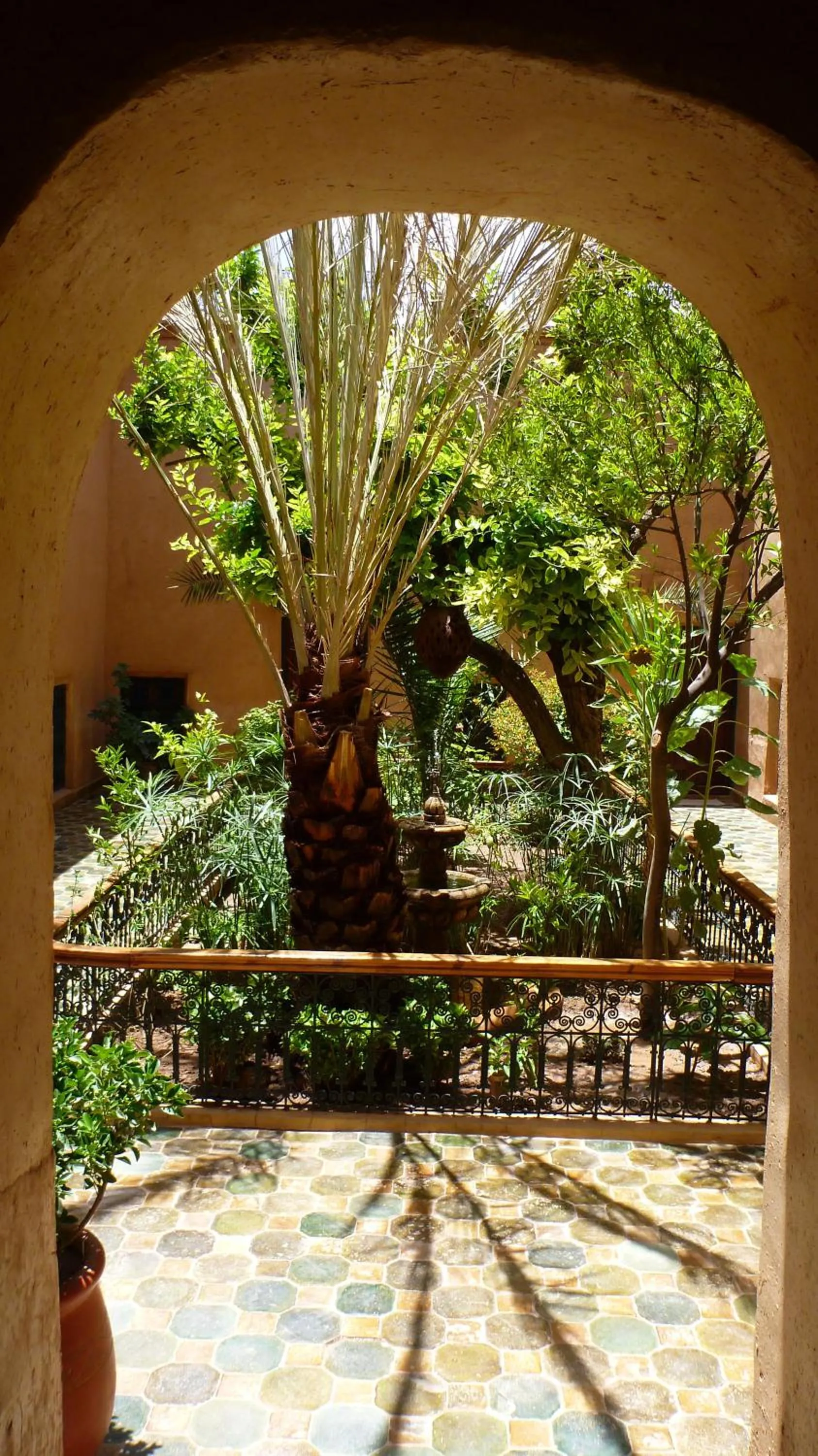 Garden in Riad Timadrouine