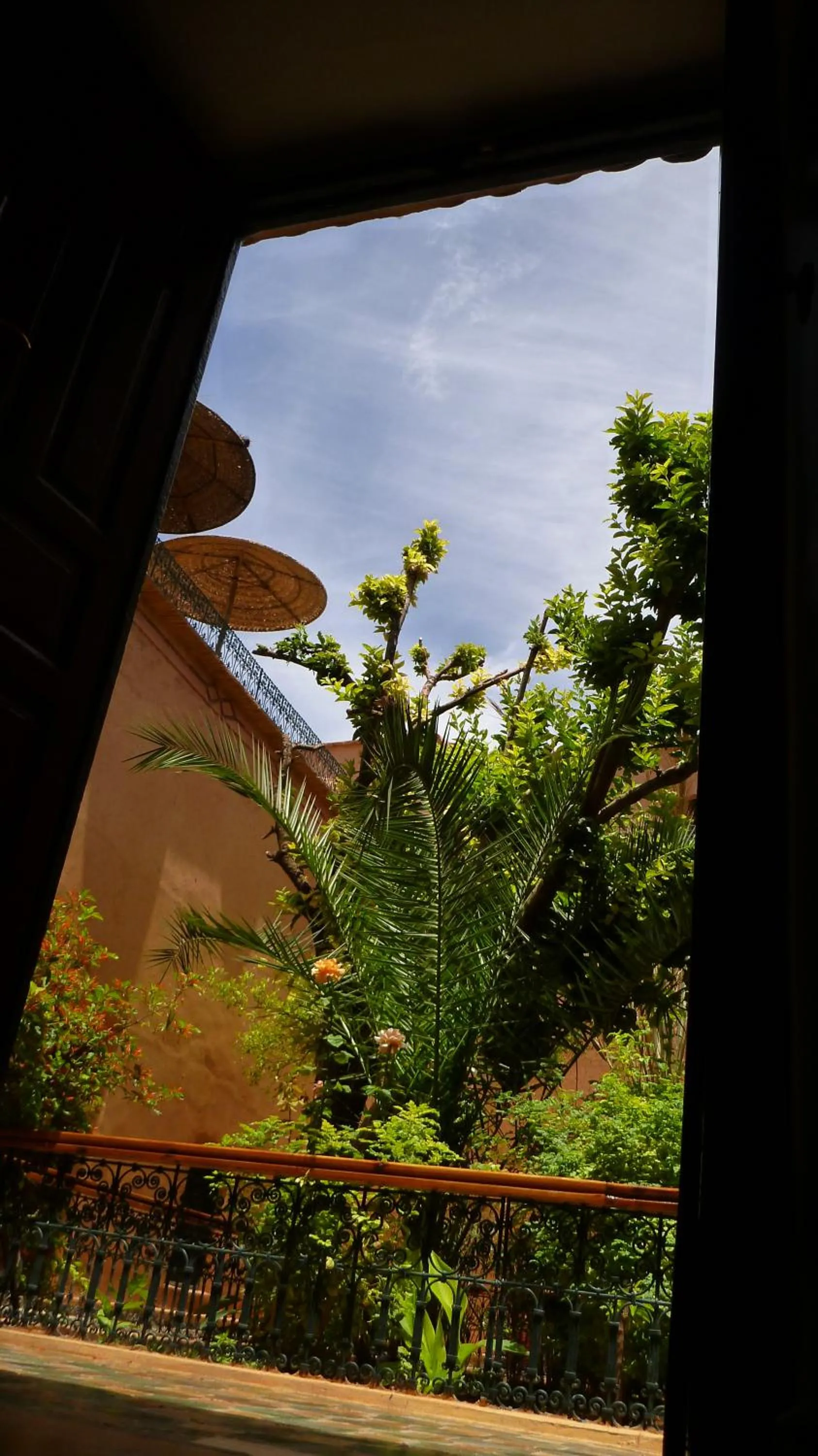 Garden in Riad Timadrouine