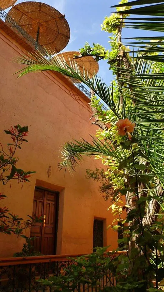 Inner courtyard view in Riad Timadrouine