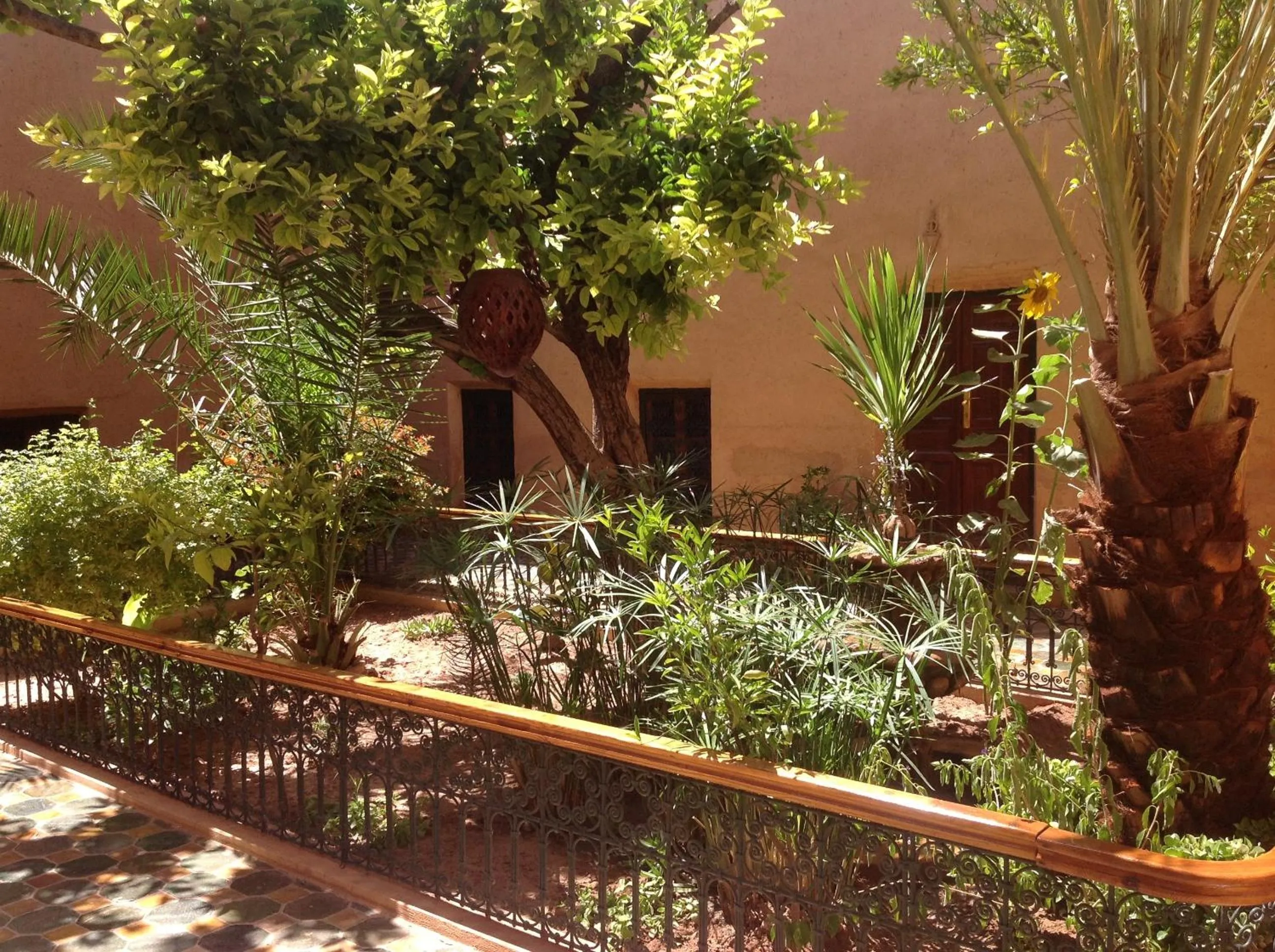 Garden in Riad Timadrouine