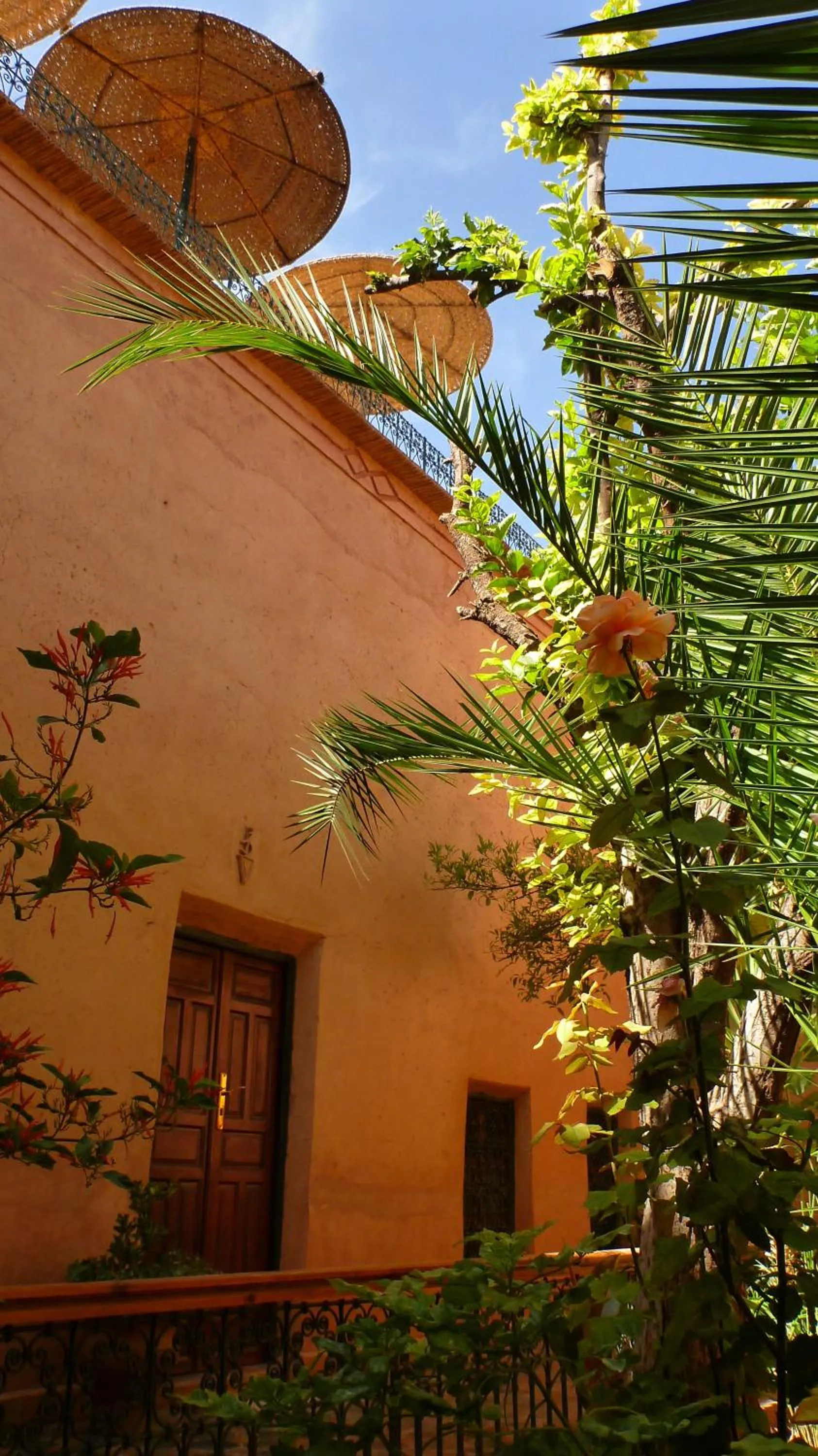 Garden in Riad Timadrouine
