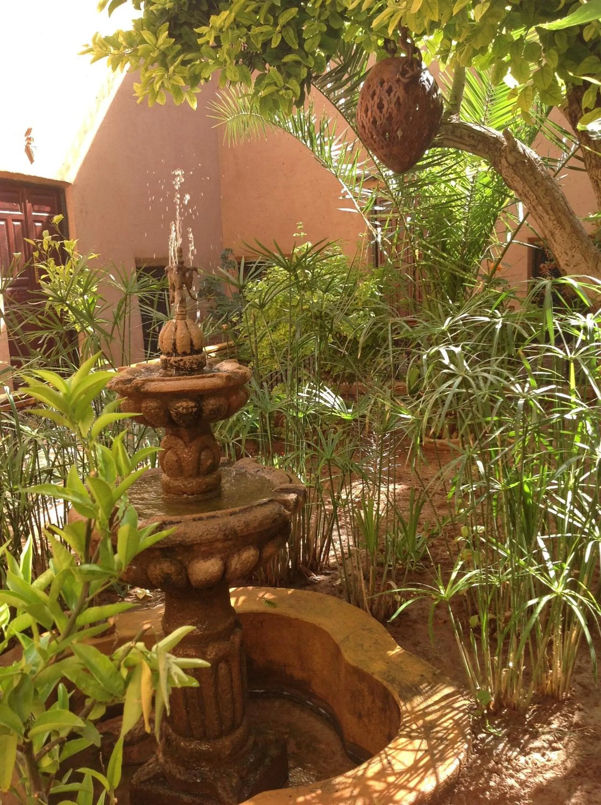 Garden in Riad Timadrouine