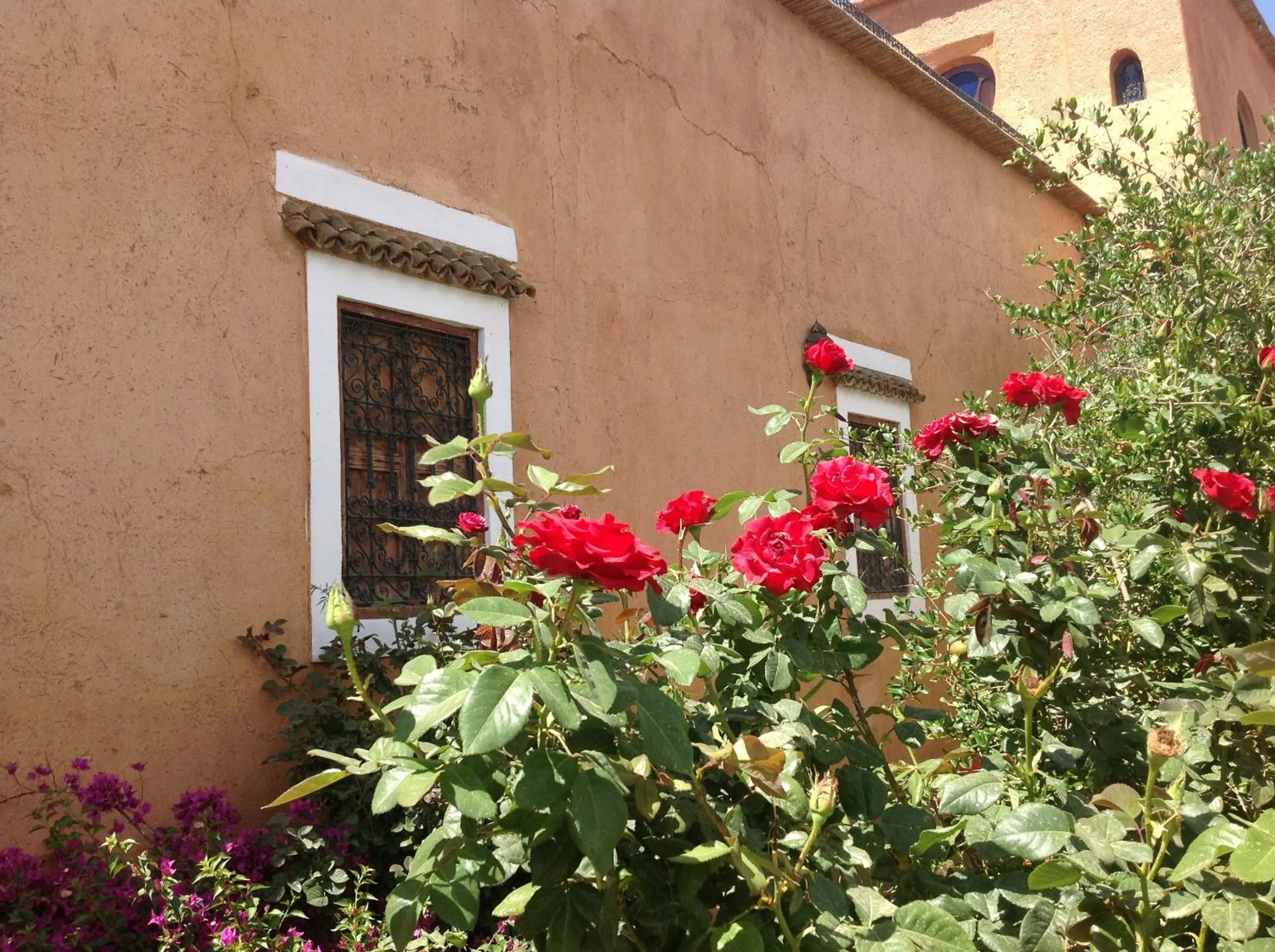 Garden in Riad Timadrouine