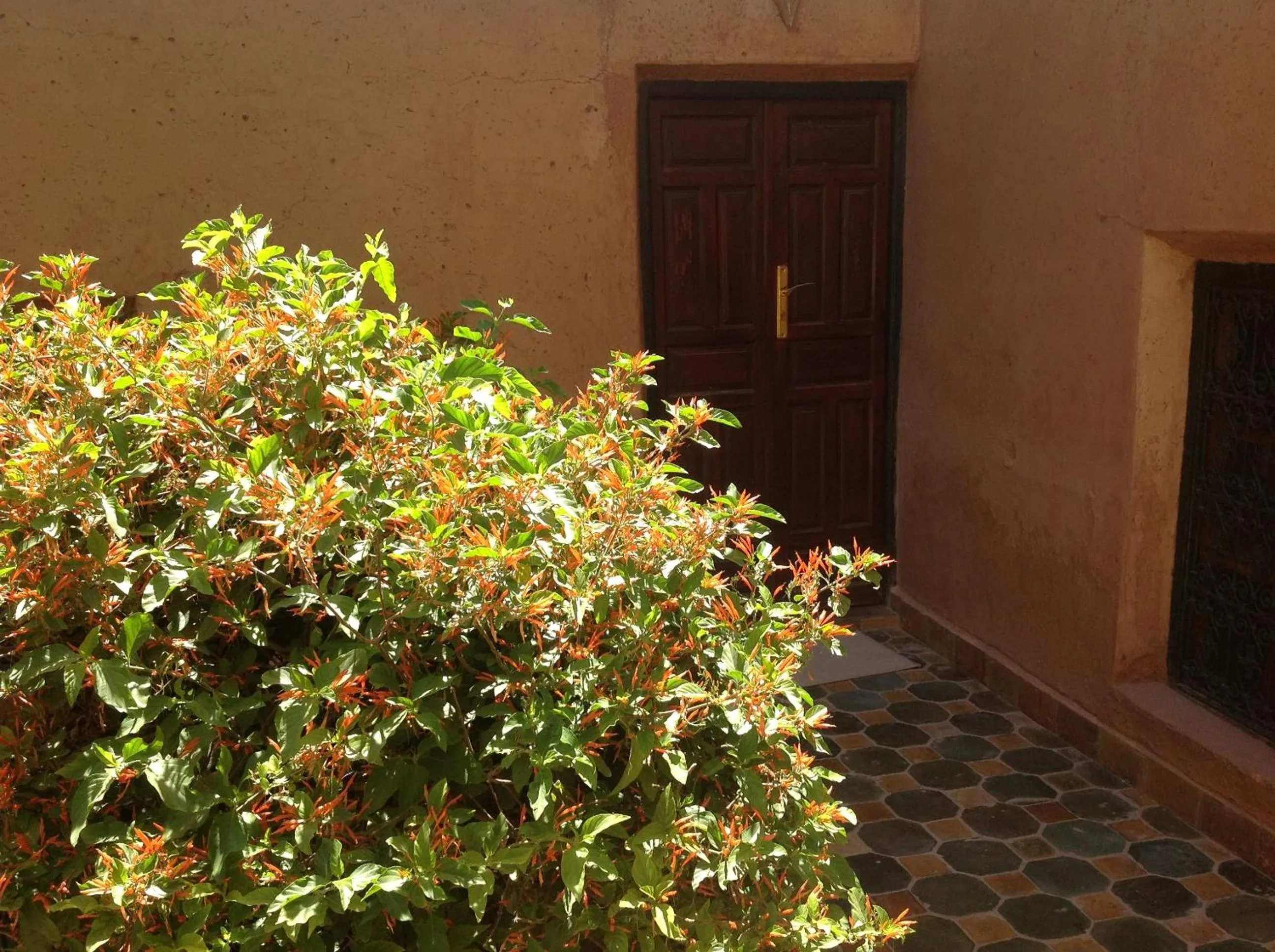 Garden in Riad Timadrouine