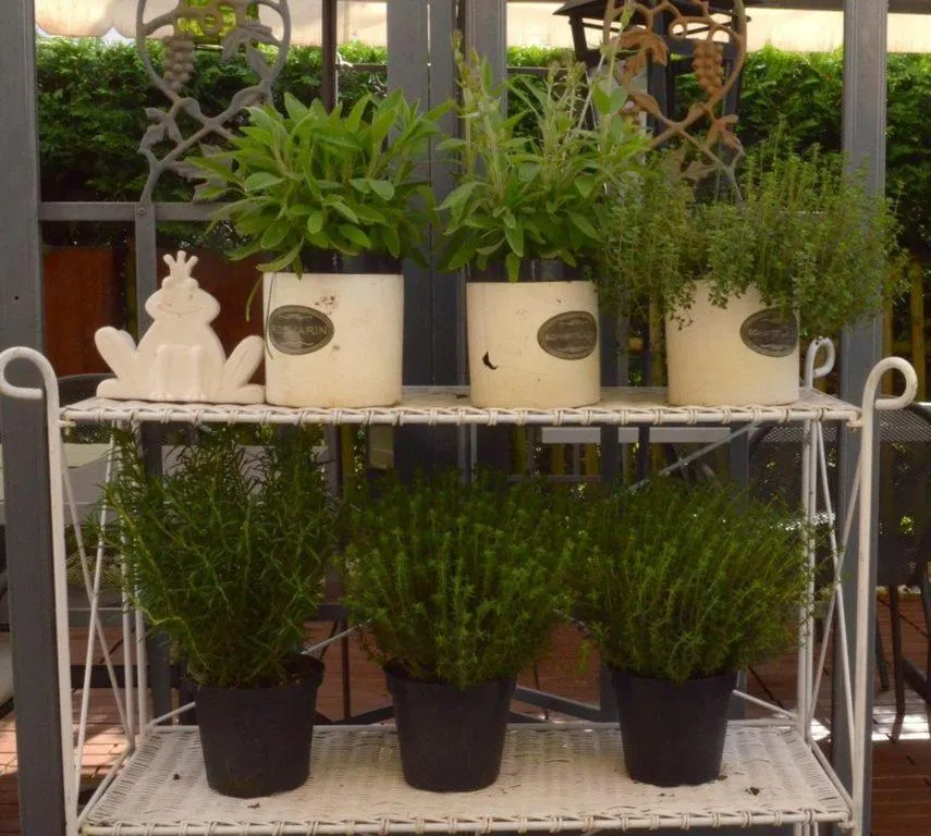 Decorative detail in Hotel Restaurant Kutchi