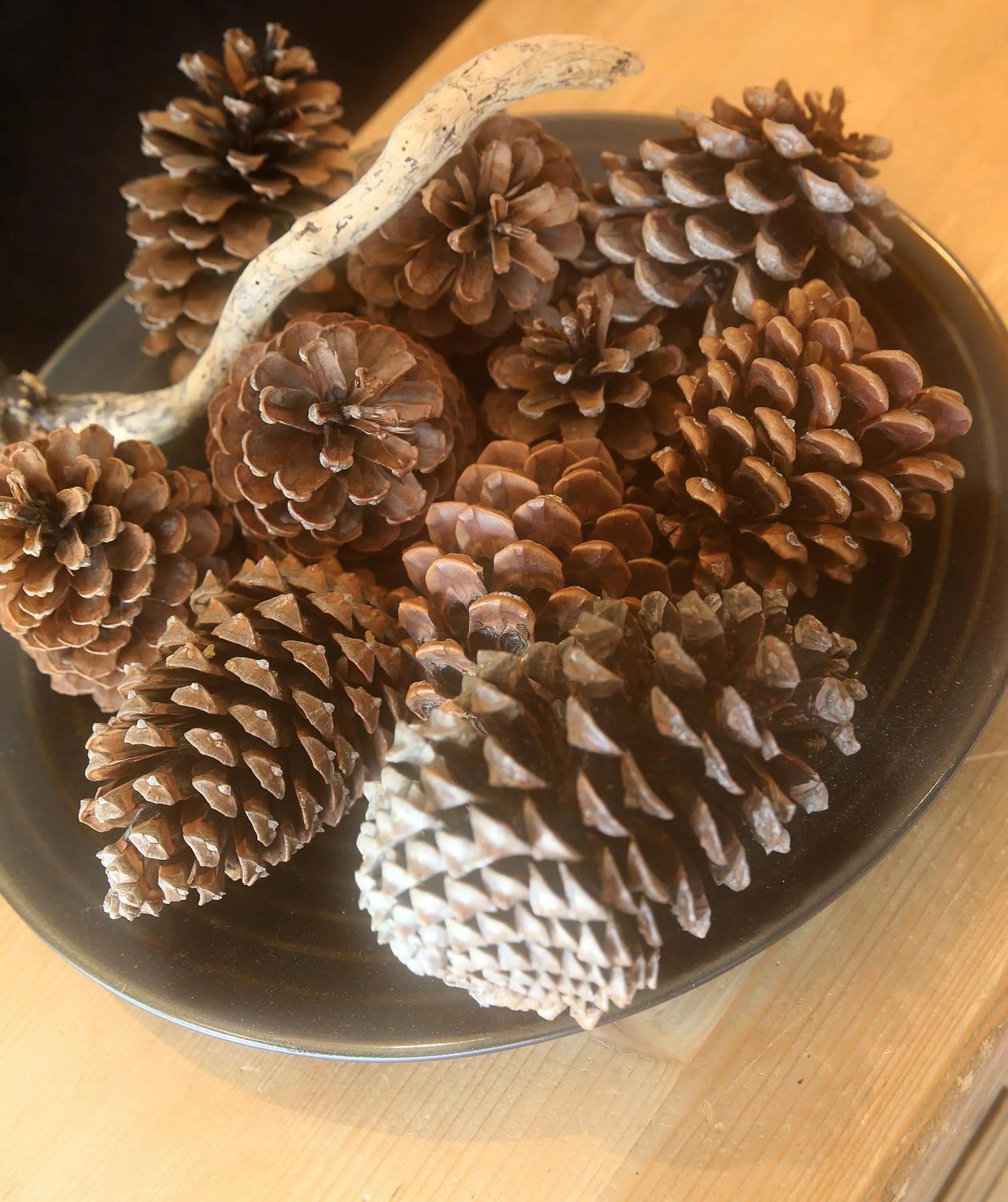 Decorative detail in Hôtel Restaurant La Buffe