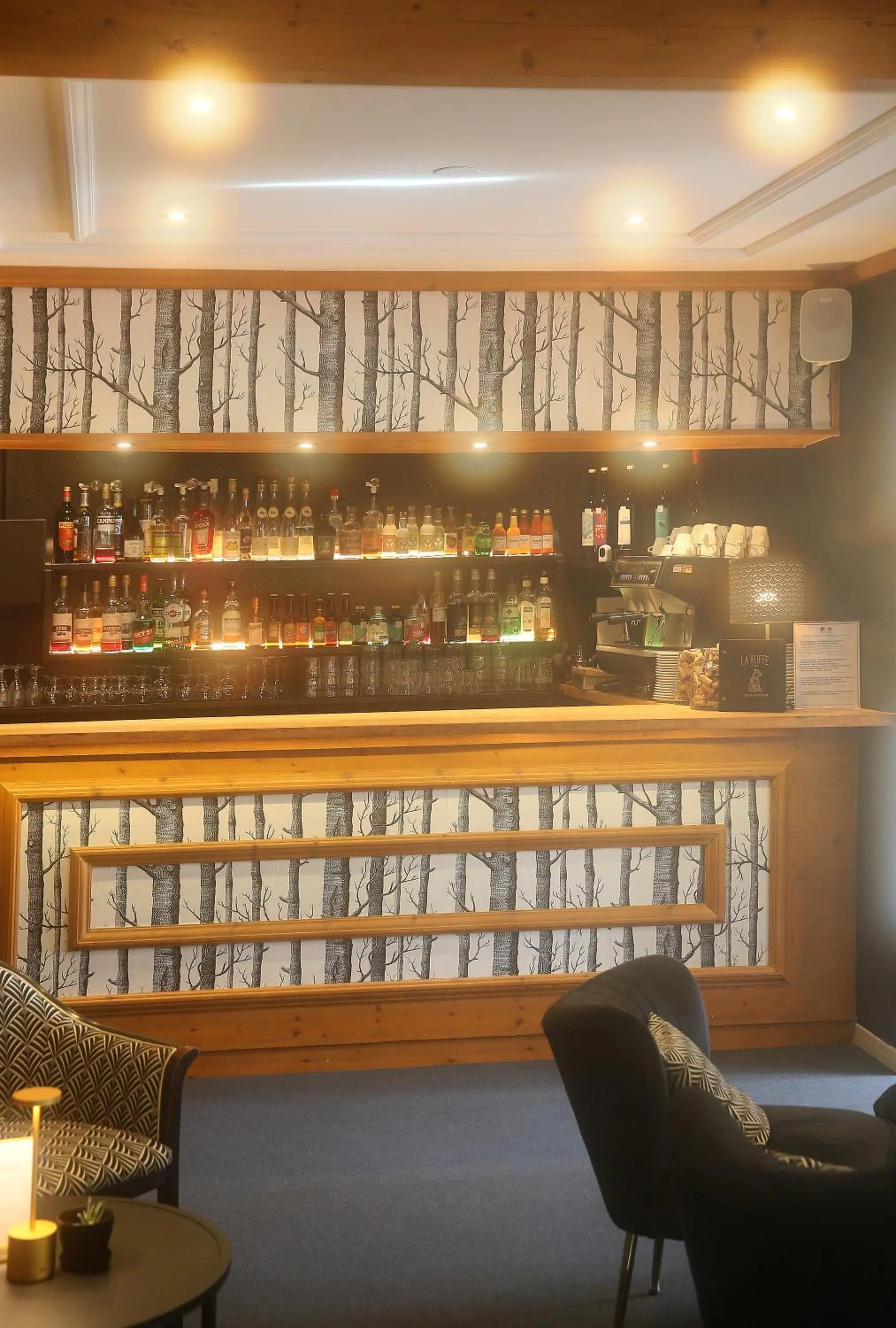Lounge or bar in Hôtel Restaurant La Buffe