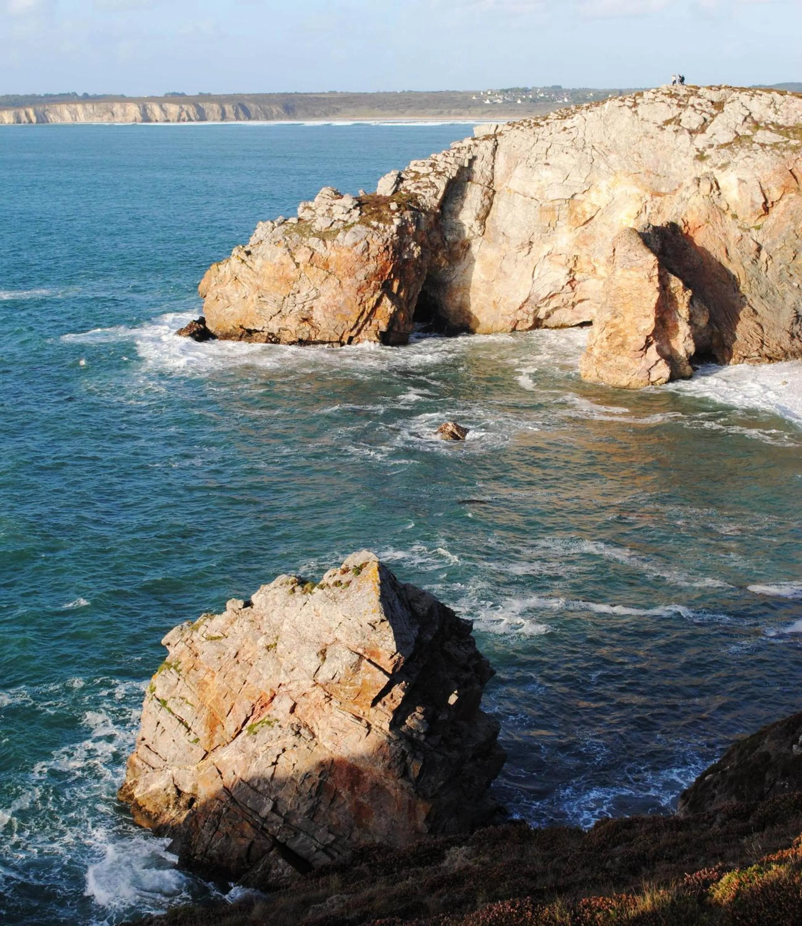 Natural landscape in Hôtel Bellevue
