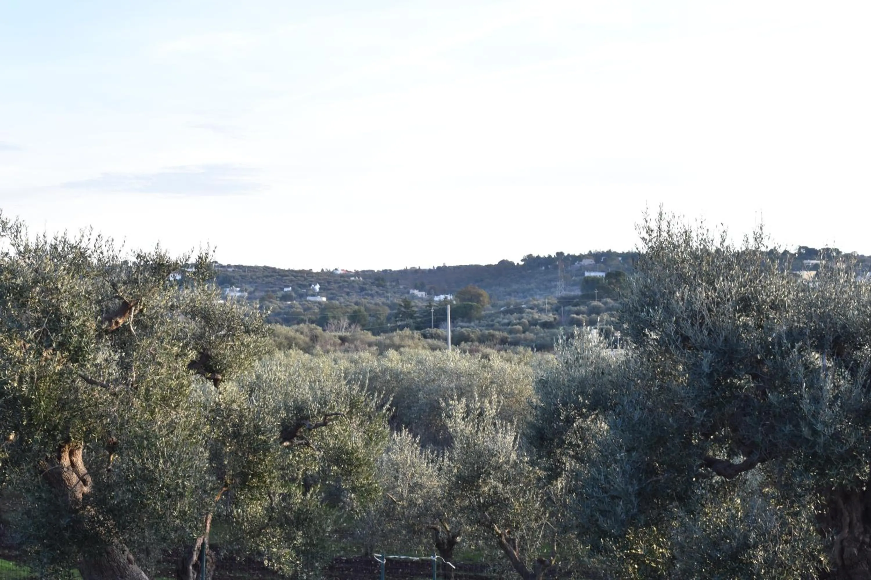 Natural landscape in Dimora Sofia