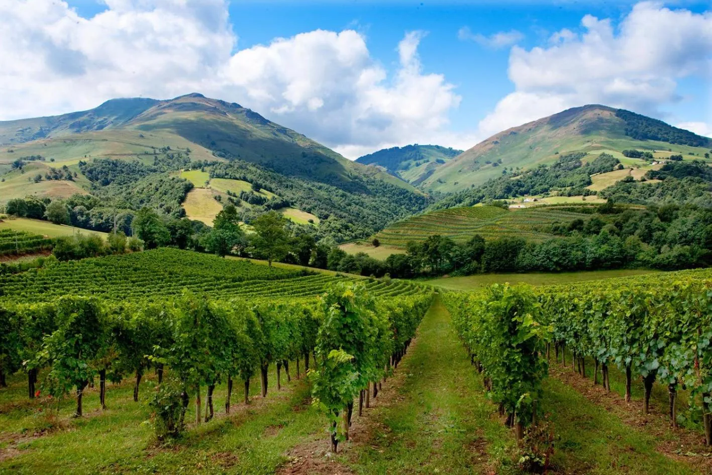 Area and facilities in Auberge Ostapé