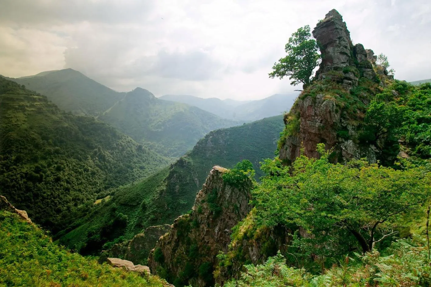 Area and facilities in Auberge Ostapé