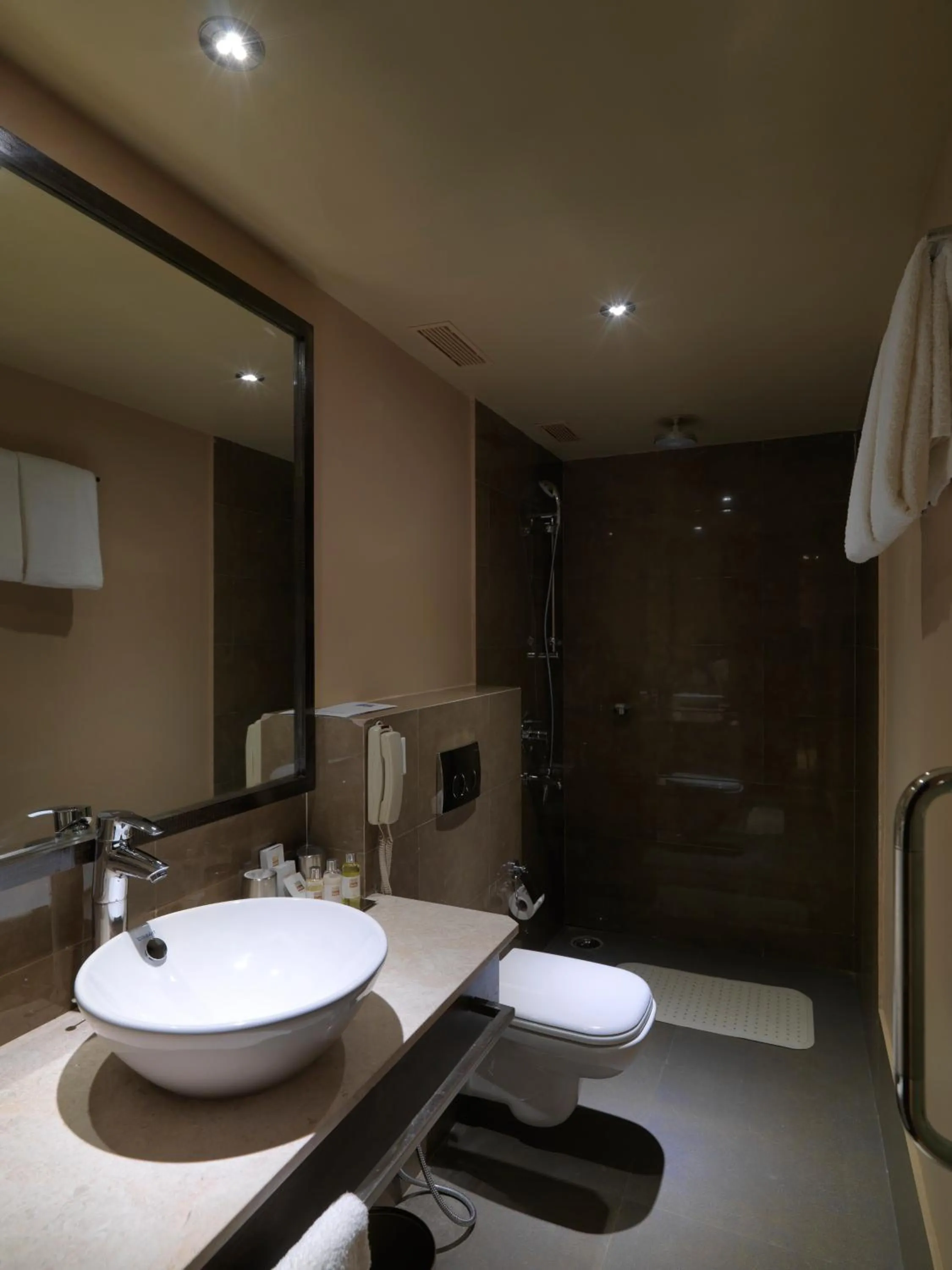 Toilet in The Quorum