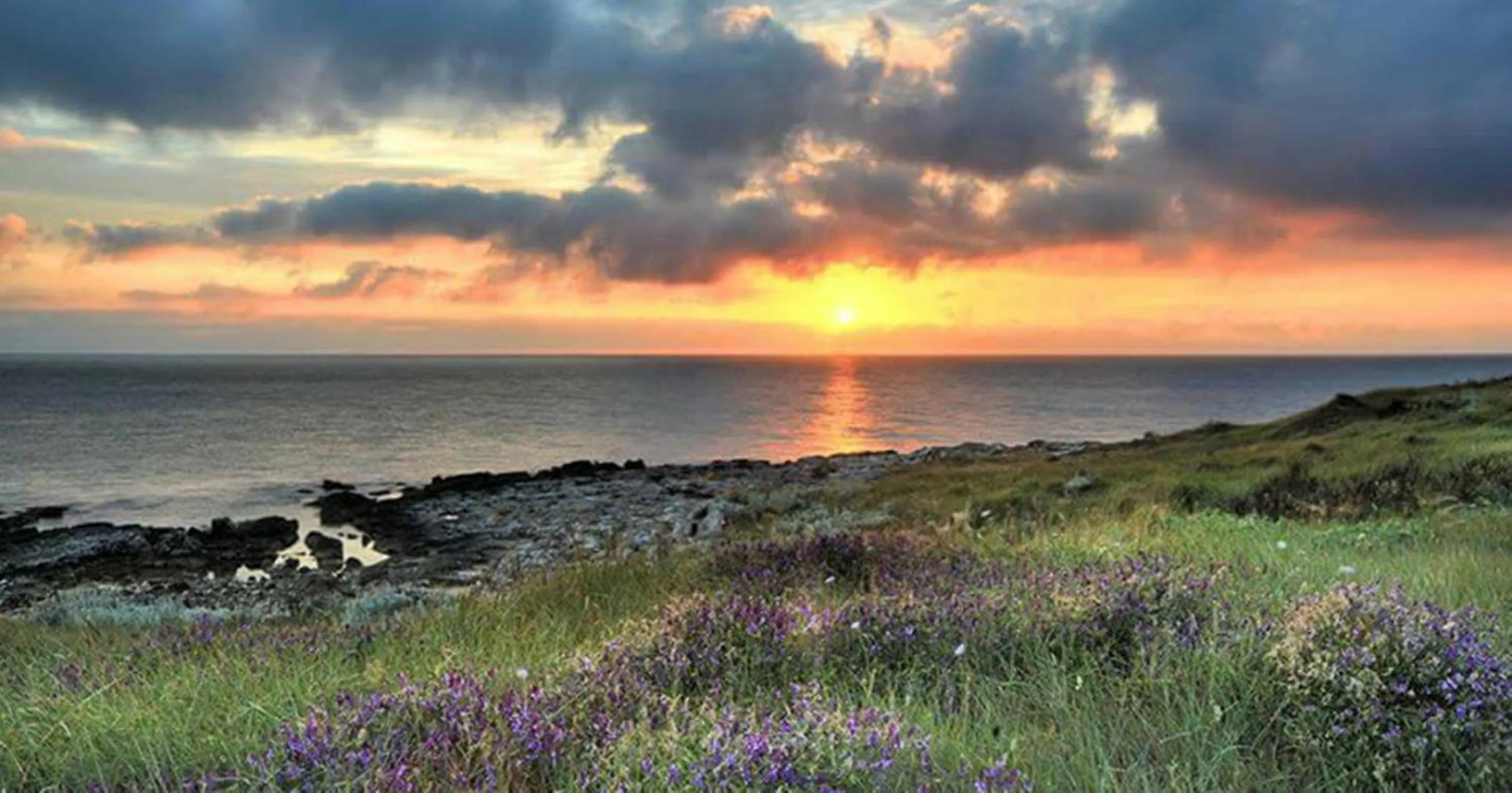Natural landscape in B&B Anxa
