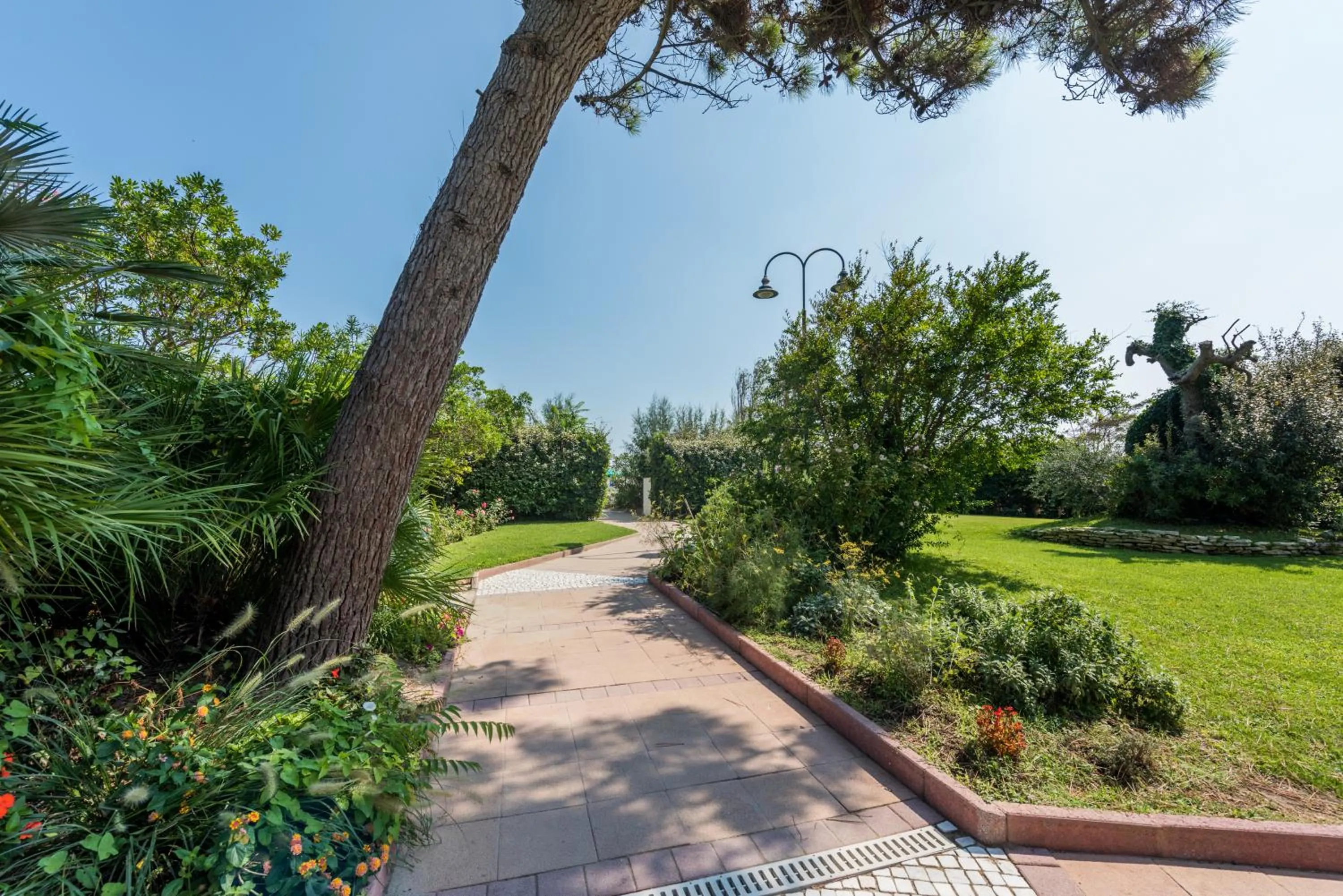 Garden in Hotel Bellevue Beach - sul mare